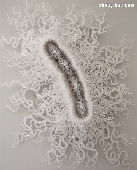 超精细微生物纸雕