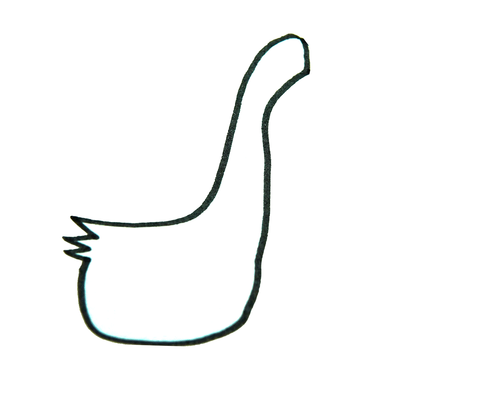 一只野鸭子的画法简笔画图片