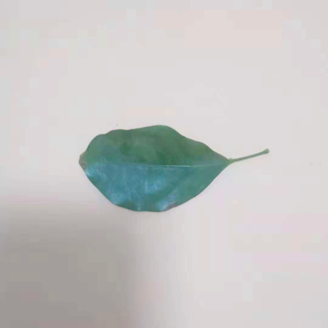 树叶贴画简单小金鱼的手工粘贴方法图解 - 制作系手工网
