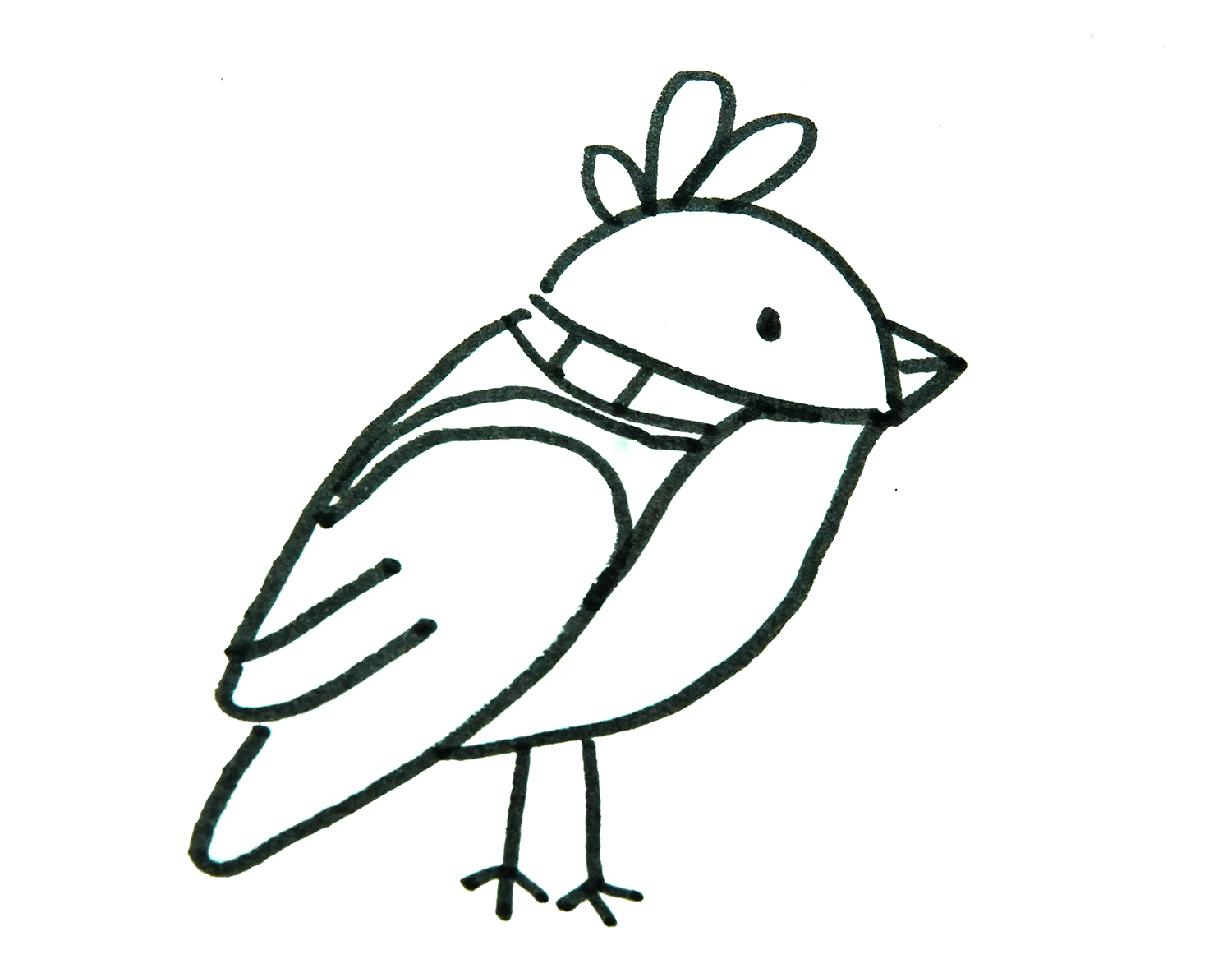 可爱的小鸽子简笔画画法图解
