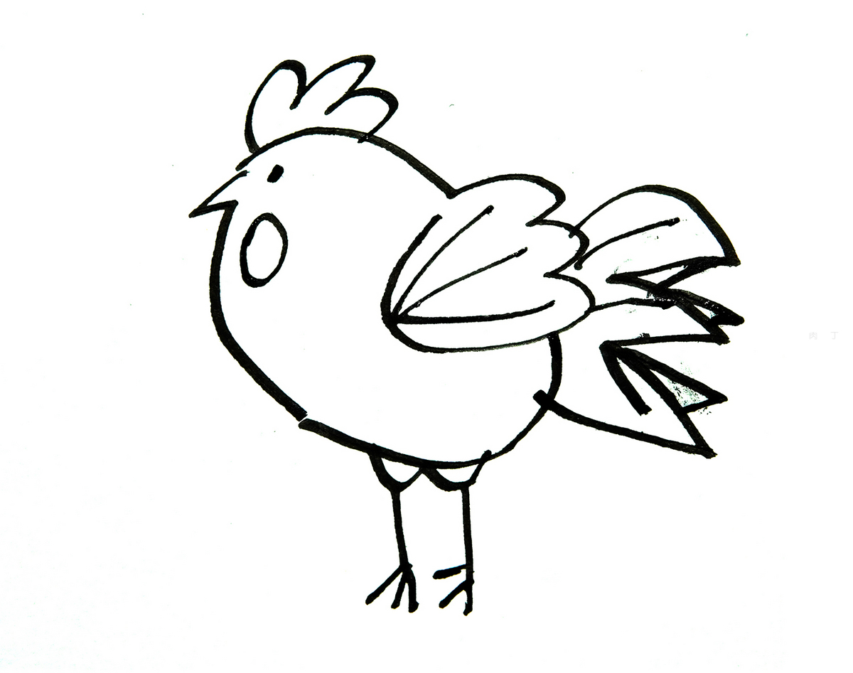 公鸡怎么画简笔画图片鸡的画法 公鸡简笔画图片大全可爱图片大全 - 水彩迷