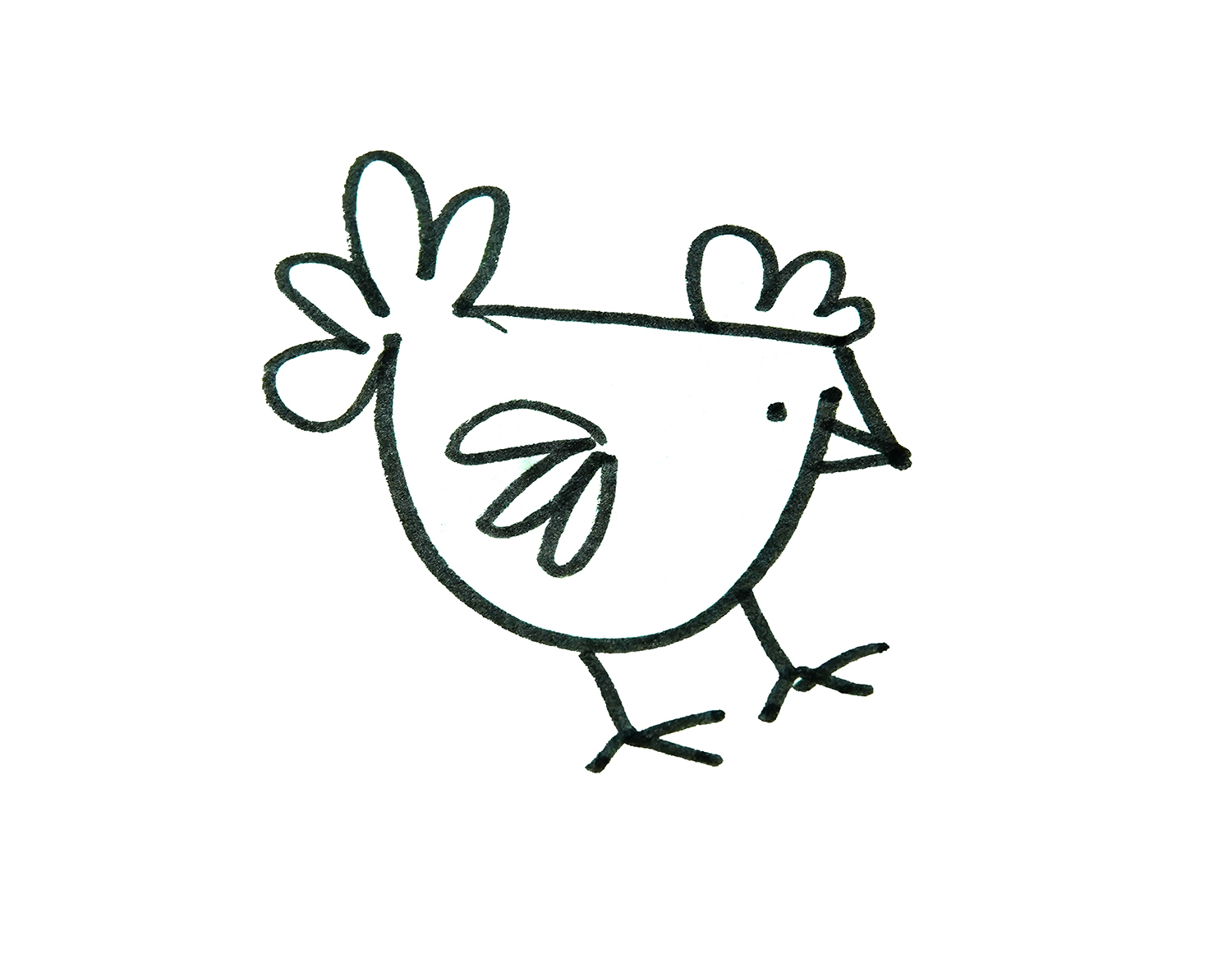 可爱的小动物简笔画系列 小鸡卡通画的步骤图 肉丁儿童网