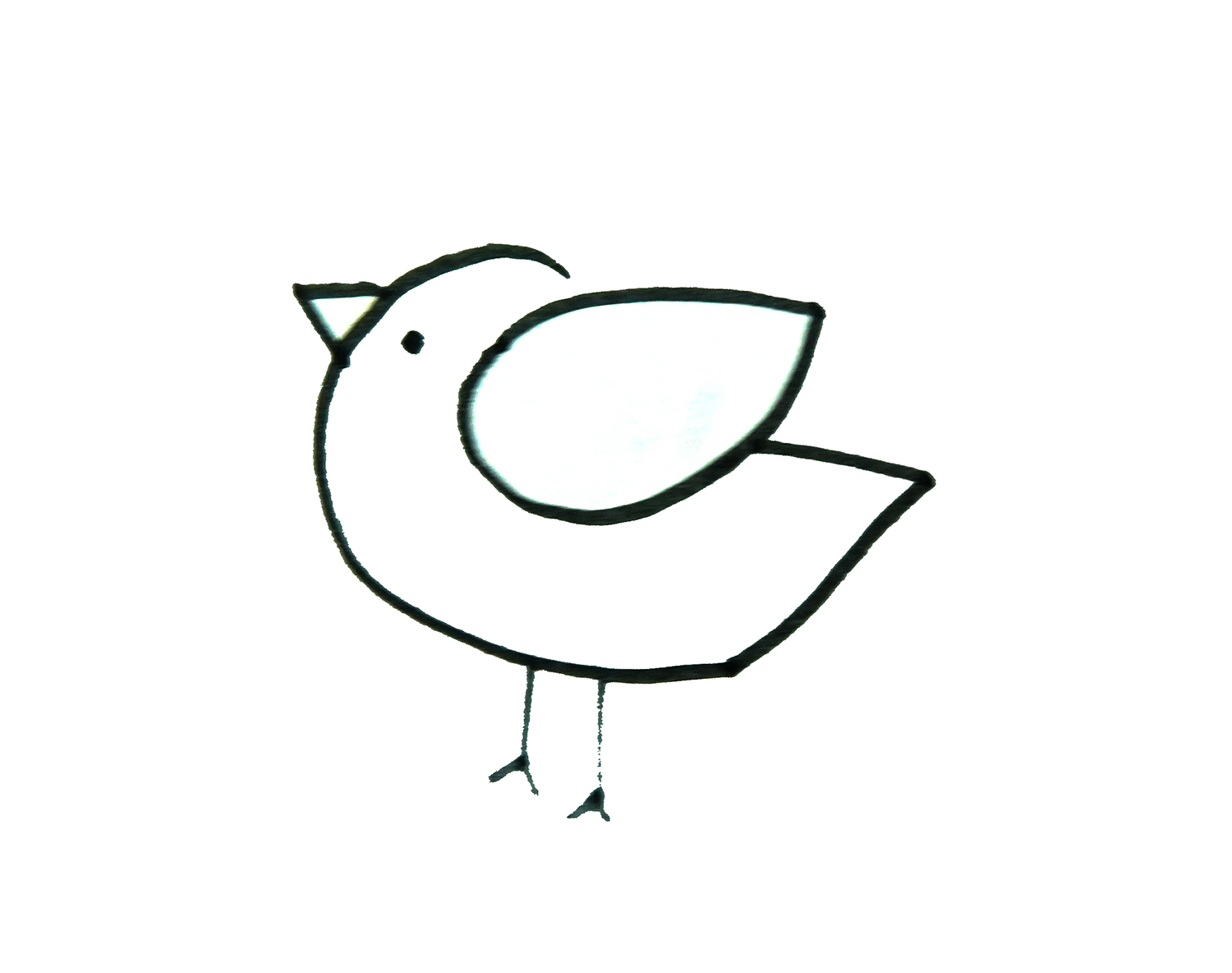 简笔画小鸟的画法步骤 简单可爱儿童画 肉丁儿童网
