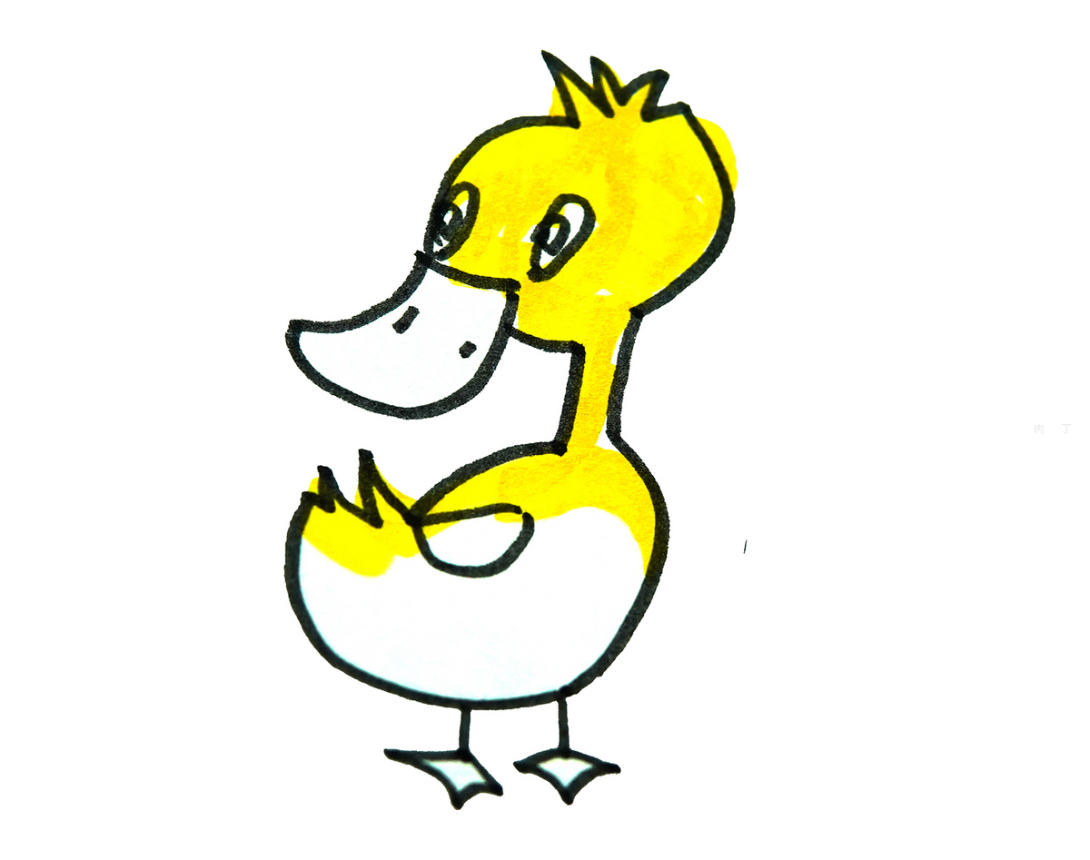 雏鸭,小鸭可爱壁纸_动物_太平洋科技