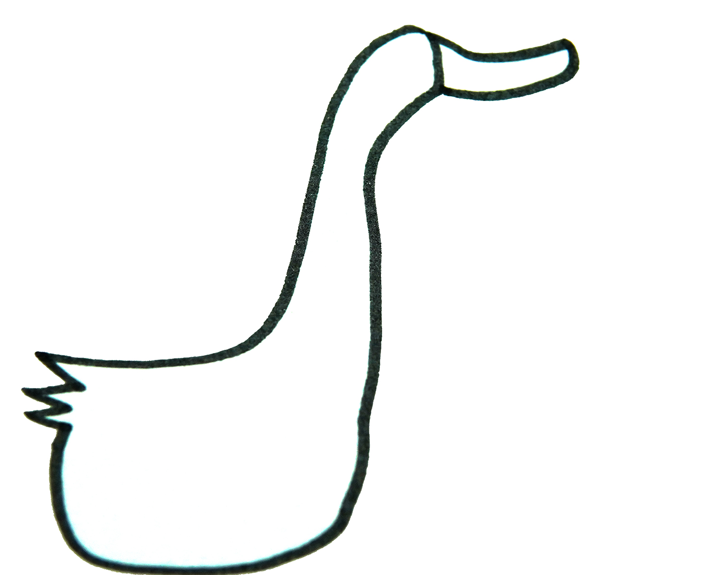 一只野鸭子的画法简笔画图片