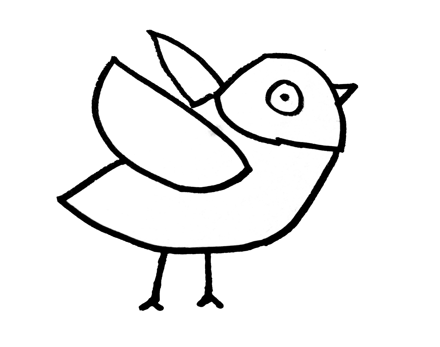 不同形态小鸟的简笔画图片