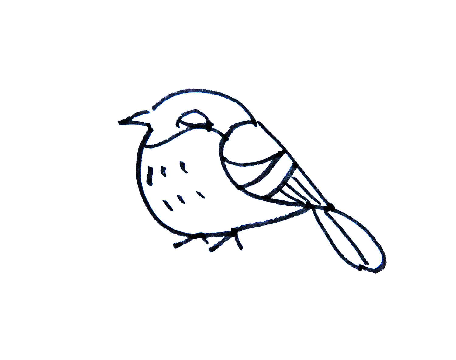 可爱卡通小鸟简笔画画法图片步骤 - 有点网 - 好手艺