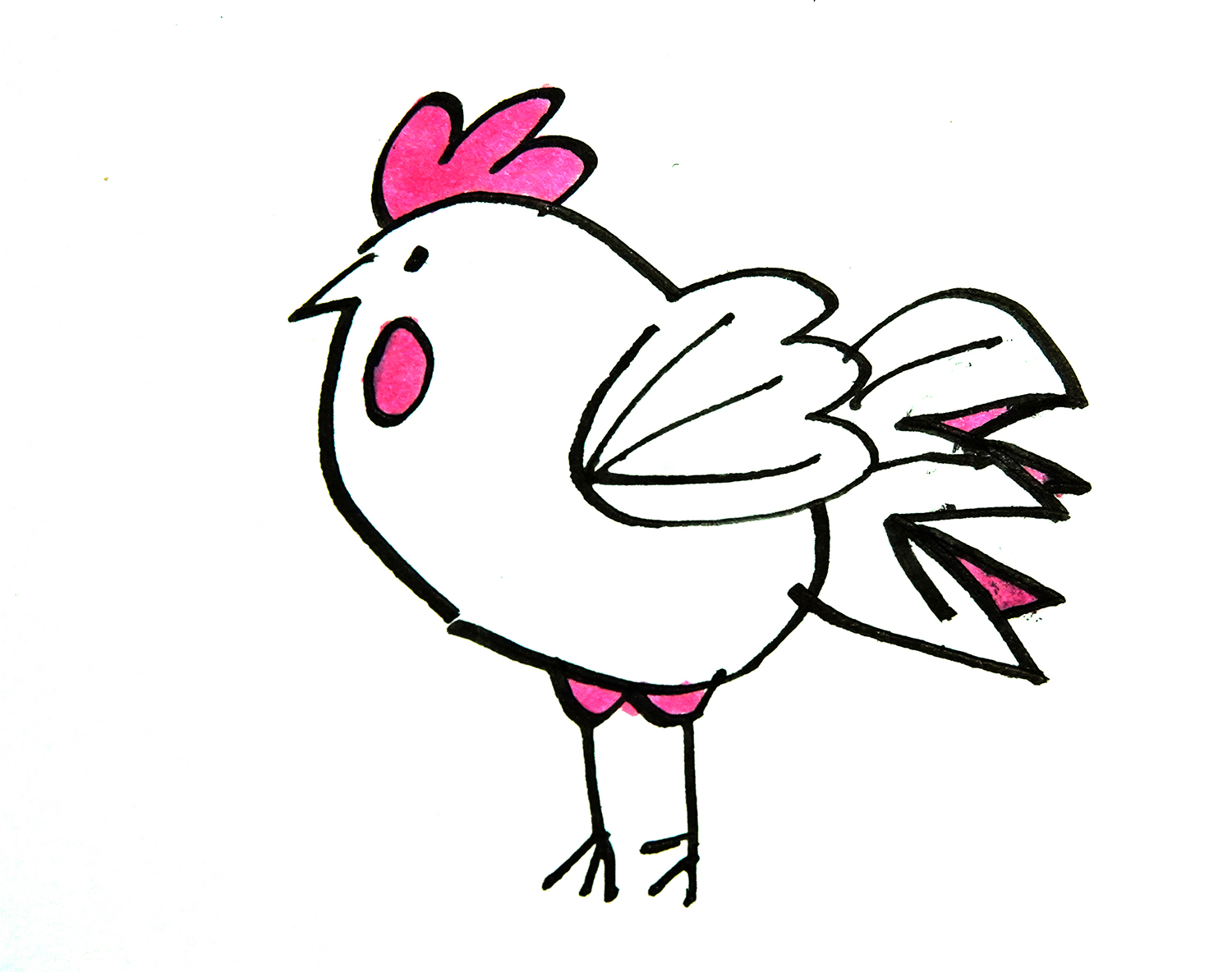 彩色大公鸡简笔画画法图片步骤