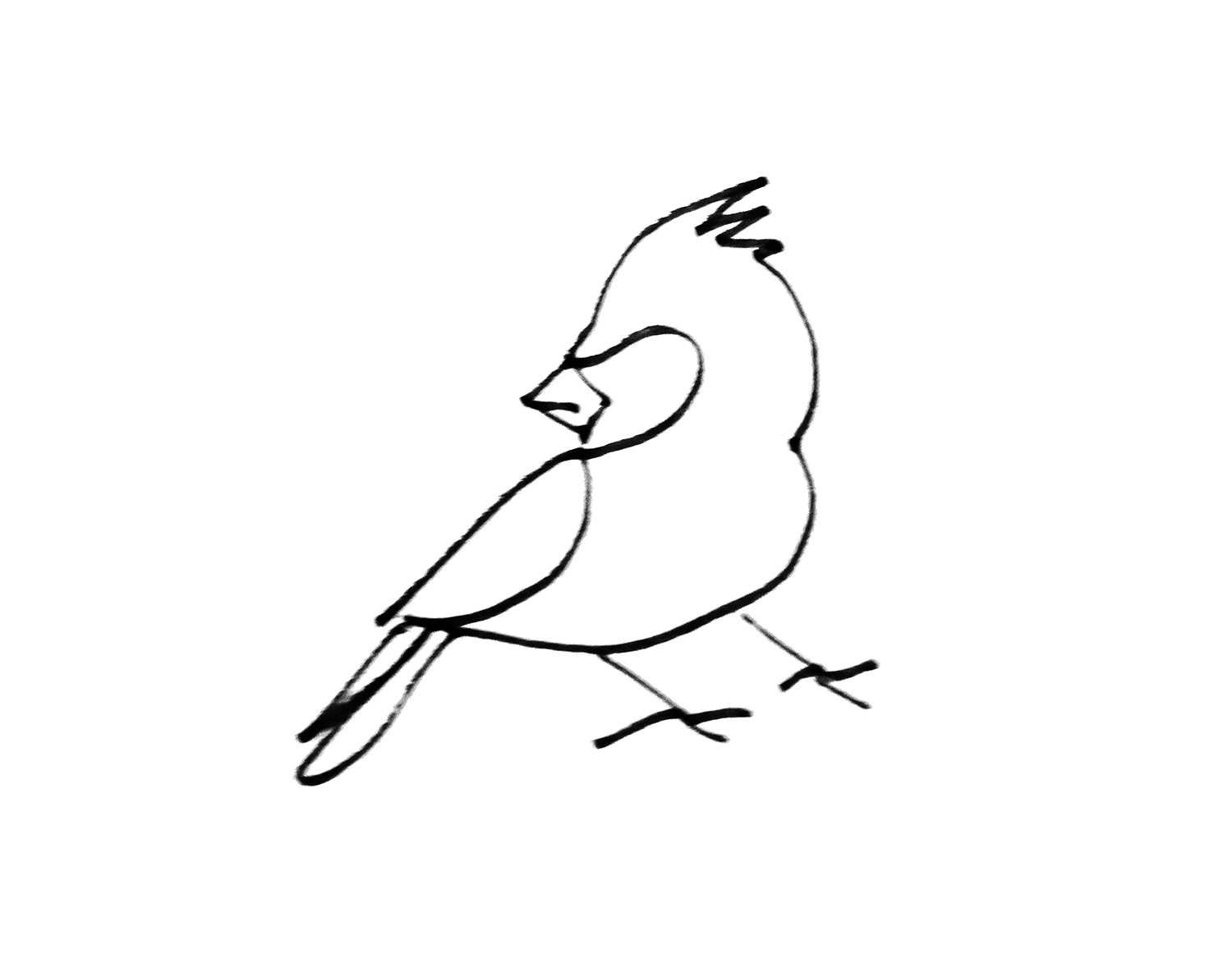 简单又漂亮动物简笔画大全 怎么画小鸟画法步骤图解 肉丁儿童网