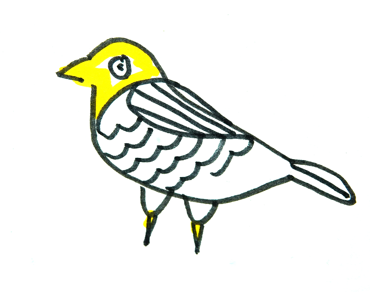 小鸟的画法 简单可爱简笔画图💛巧艺网