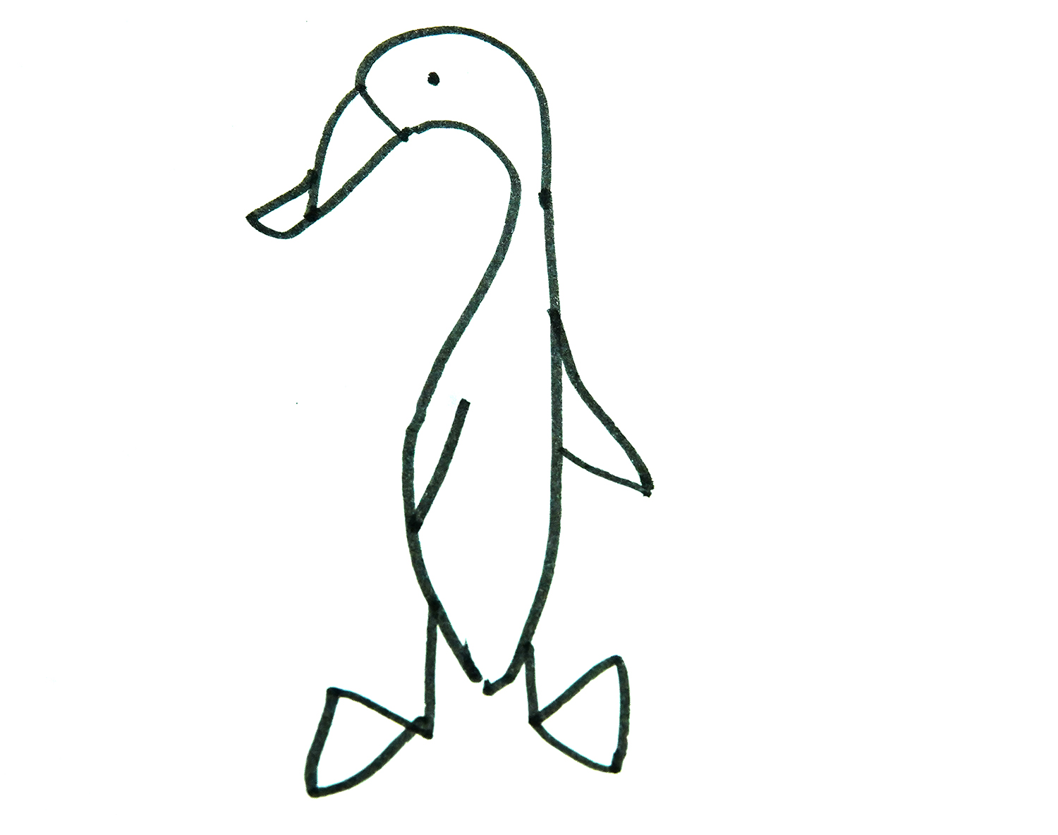 雨天的鸭子儿童简笔画步骤图解教程