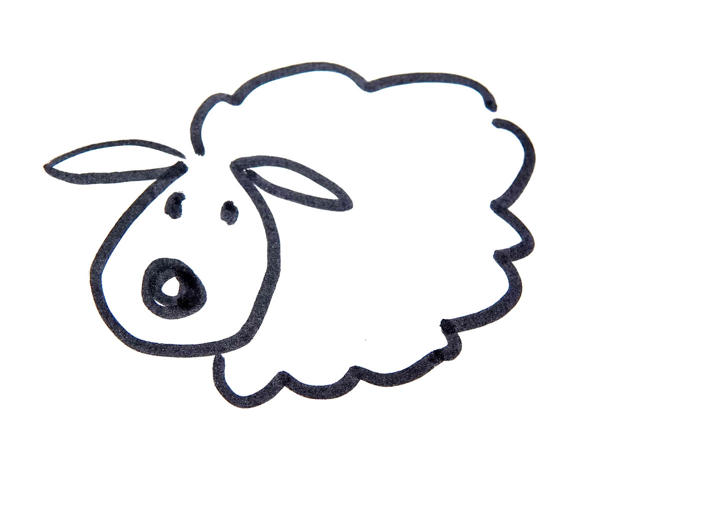 教你画色彩小绵羊的画法步骤 儿童简单可爱简笔画步骤图（狗的图片大全大图简笔画） - 有点网 - 好手艺