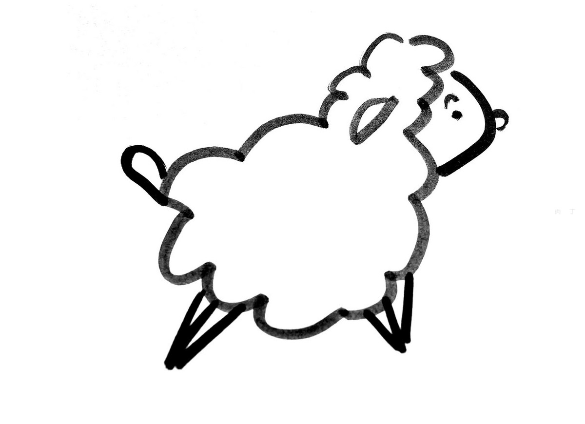 小绵羊的画法 简单简笔画步骤图 肉丁儿童网
