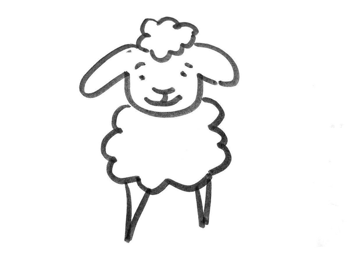 教你画小绵羊的画法图解 简笔画步骤图（蝴蝶简笔画大全） - 有点网 - 好手艺