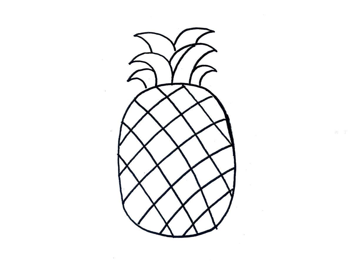 简单菠萝简笔画画法图片步骤（儿童绘画视频教学视频） - 有点网 - 好手艺
