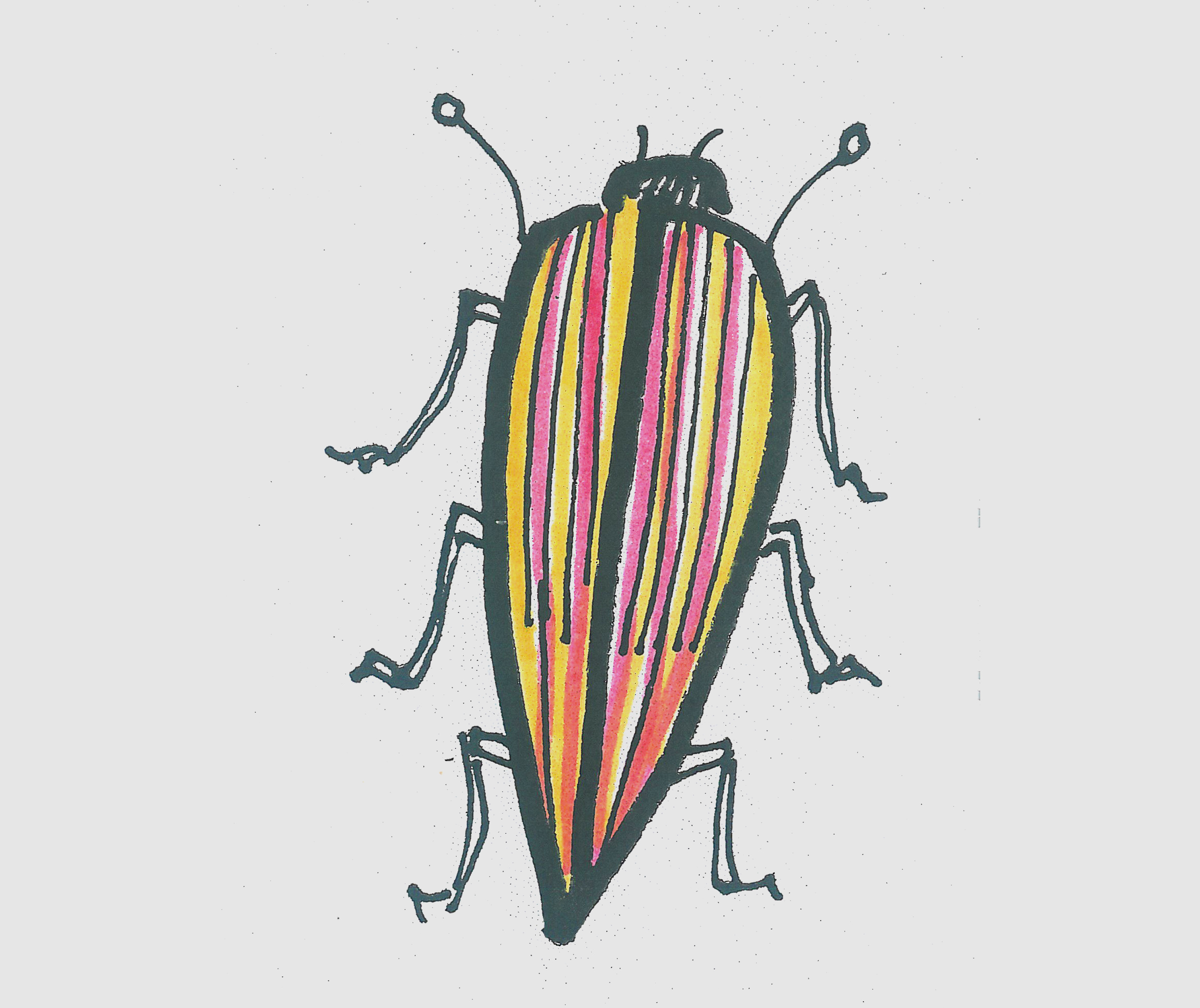 简笔画图片甲虫怎么画最简单 小甲虫的画法