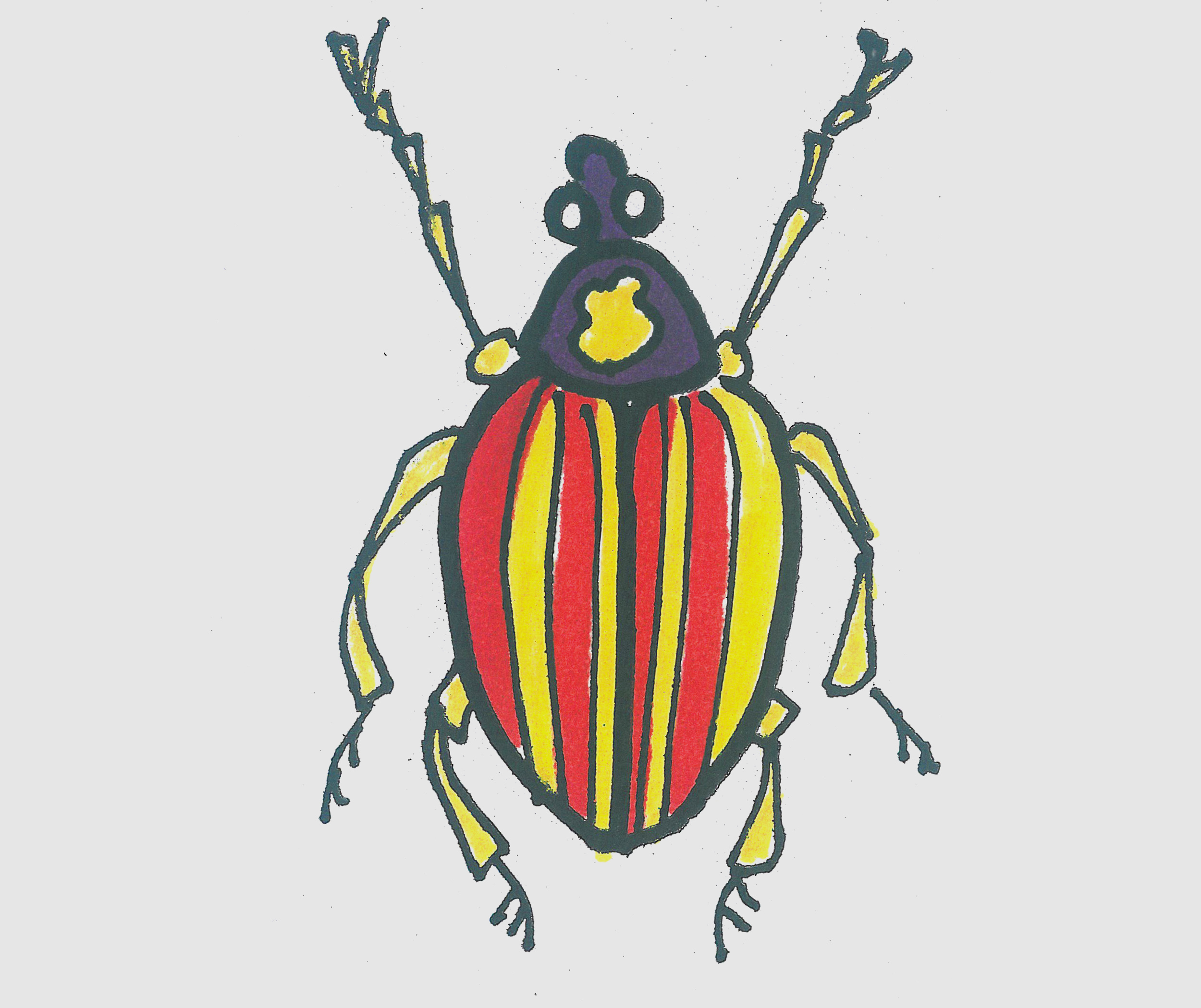 简笔画图片带颜色甲虫的画法