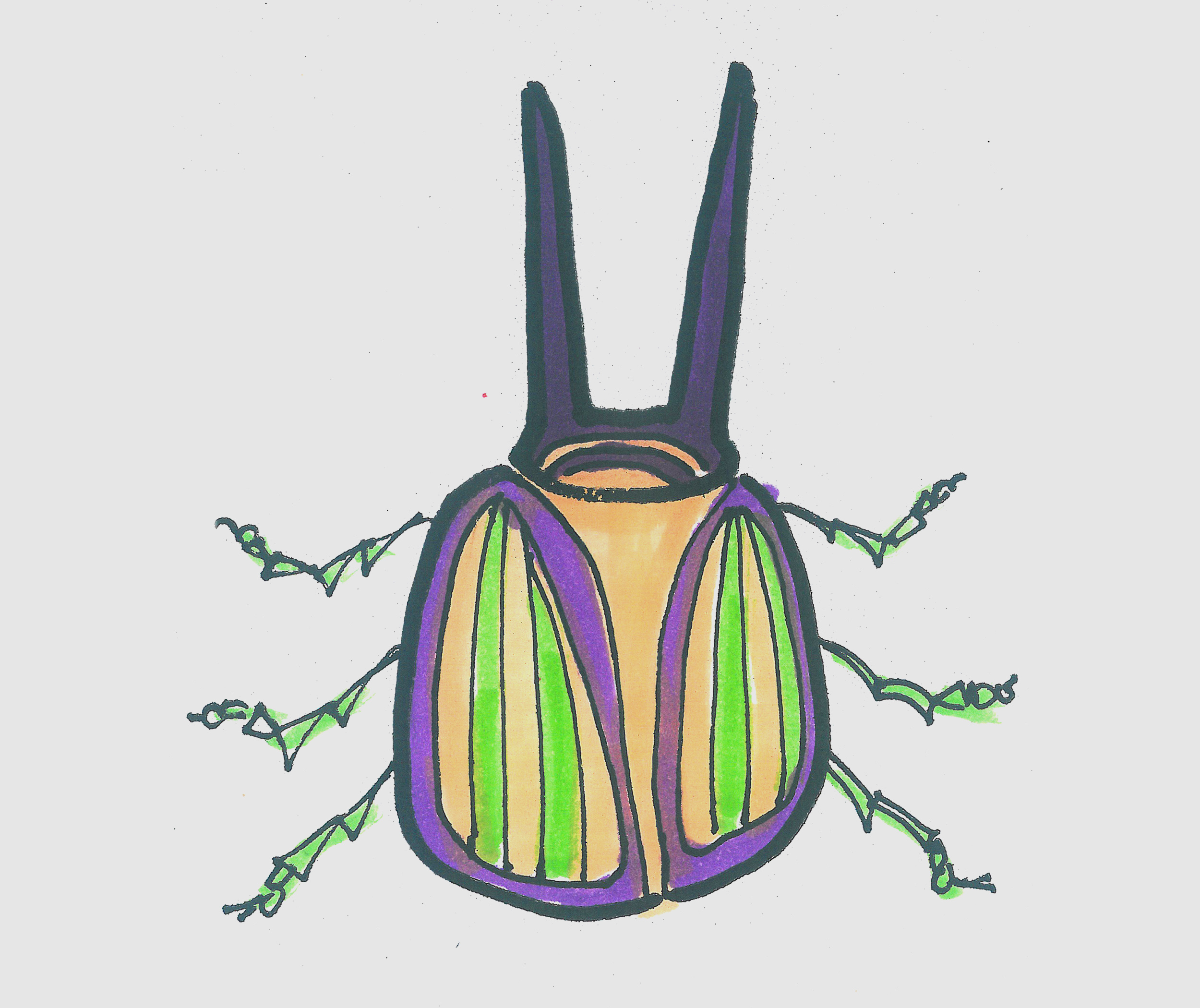 简笔画图片有颜色甲壳虫怎么画 甲壳虫的画法