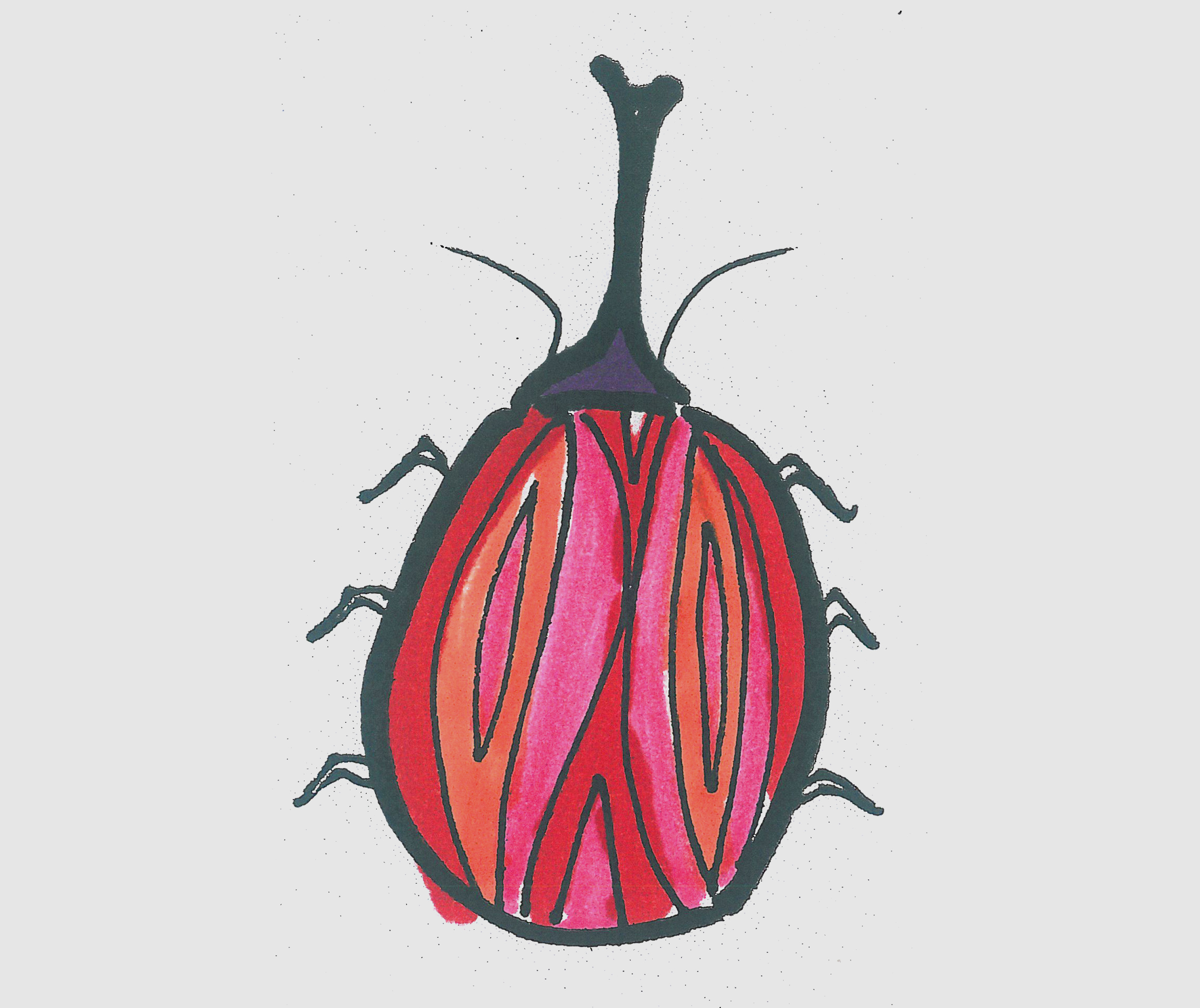 简笔画图片甲壳虫 可爱甲壳虫的画法