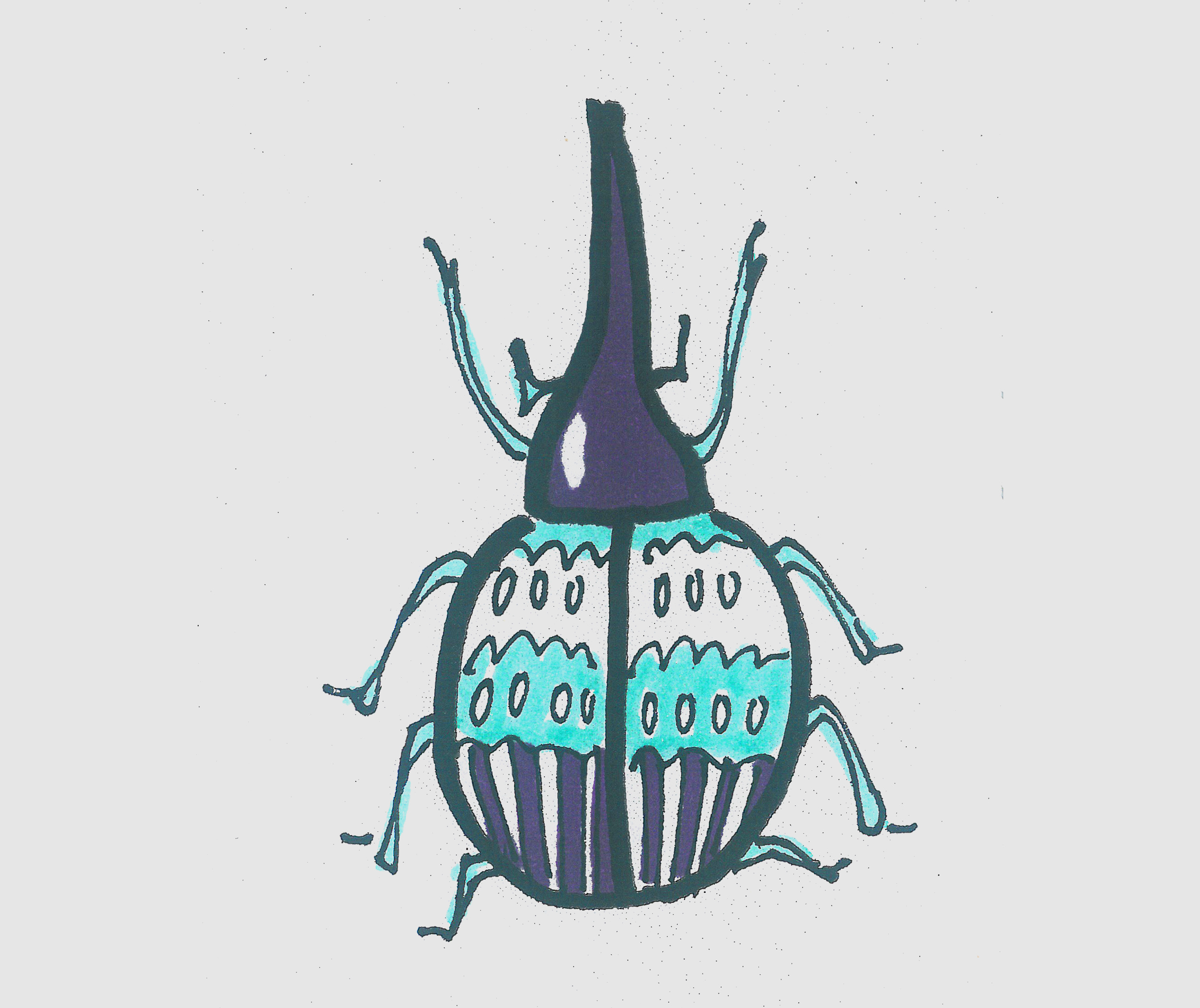 简笔画甲壳虫怎么画好看 可爱甲壳虫画法