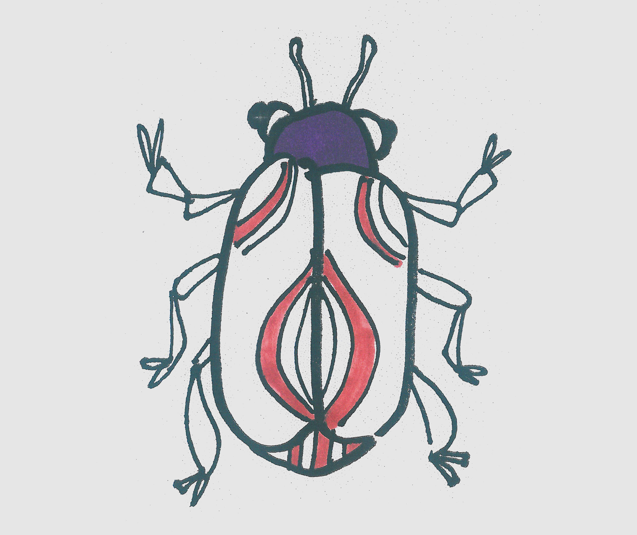 简笔画甲壳虫怎么画好看 甲壳虫画法