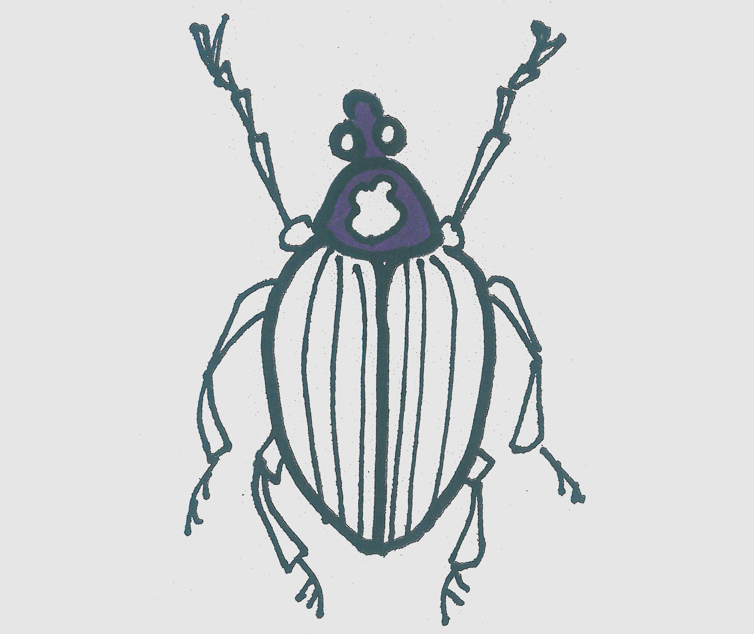简笔画图片带颜色甲虫的画法