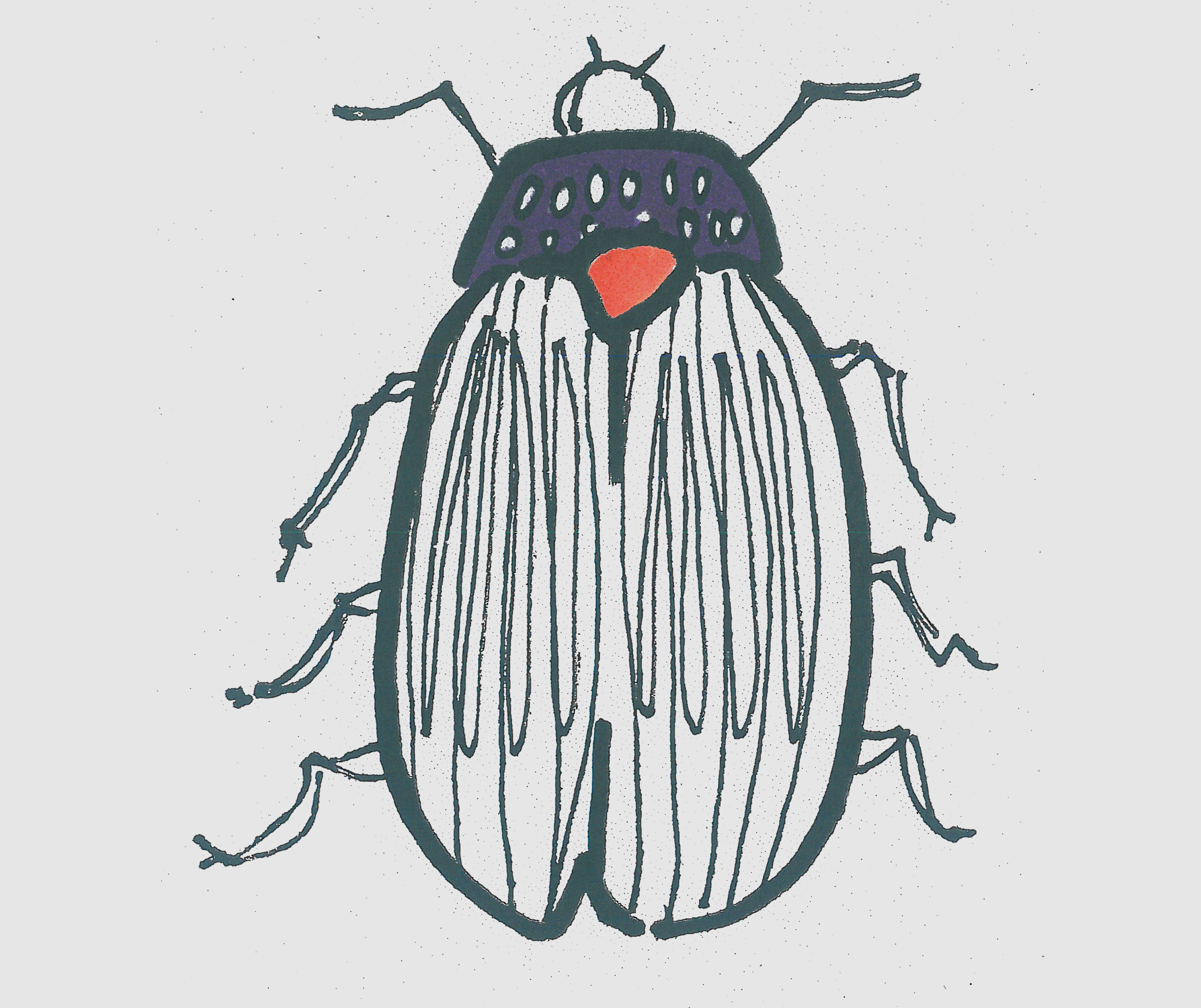 简笔画图片瓢虫怎么画 一步一步教可爱小瓢虫画法
