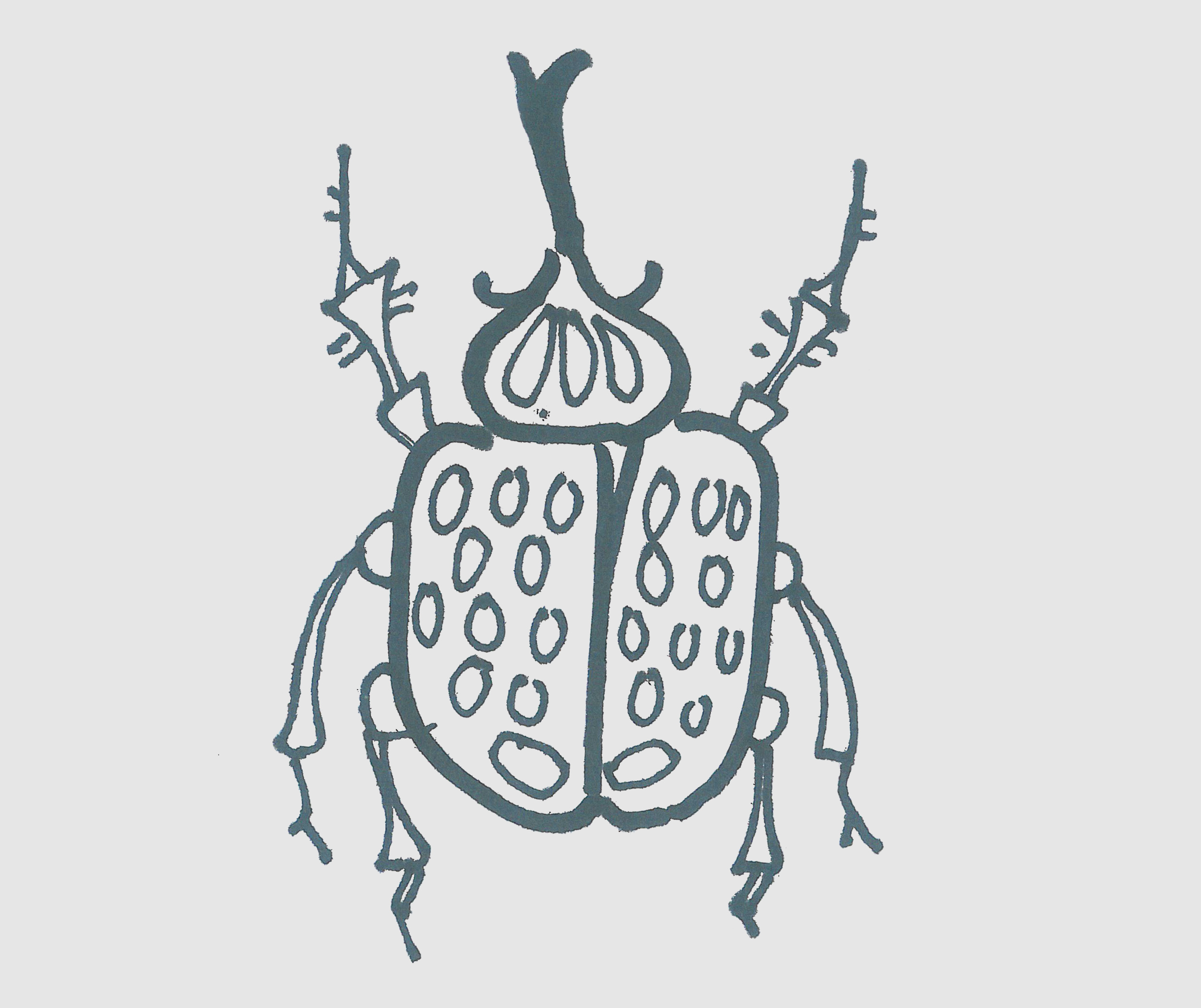 简笔画图片甲壳虫怎么画好看 可爱小甲壳虫画法