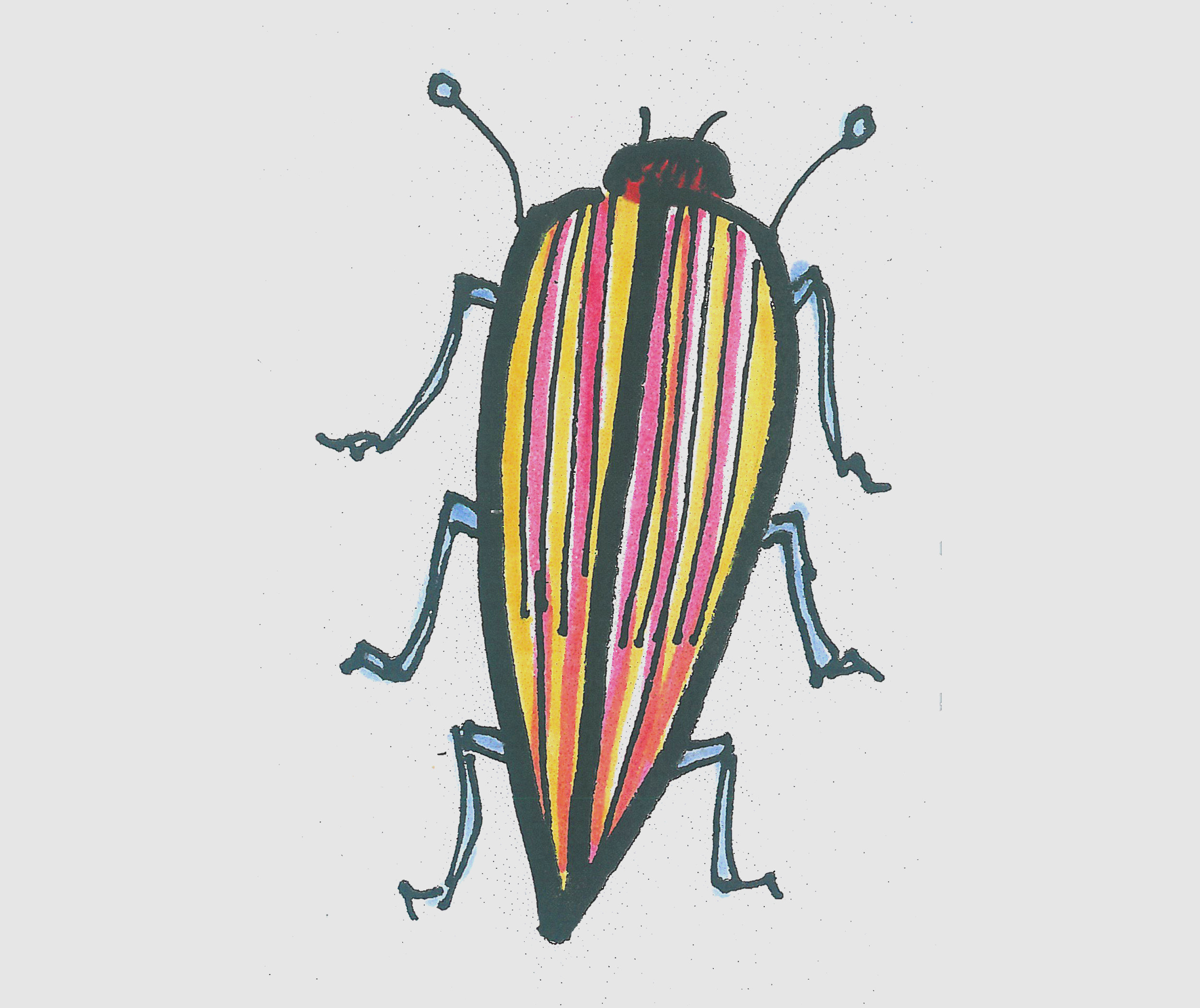 简笔画图片甲虫怎么画最简单 小甲虫的画法
