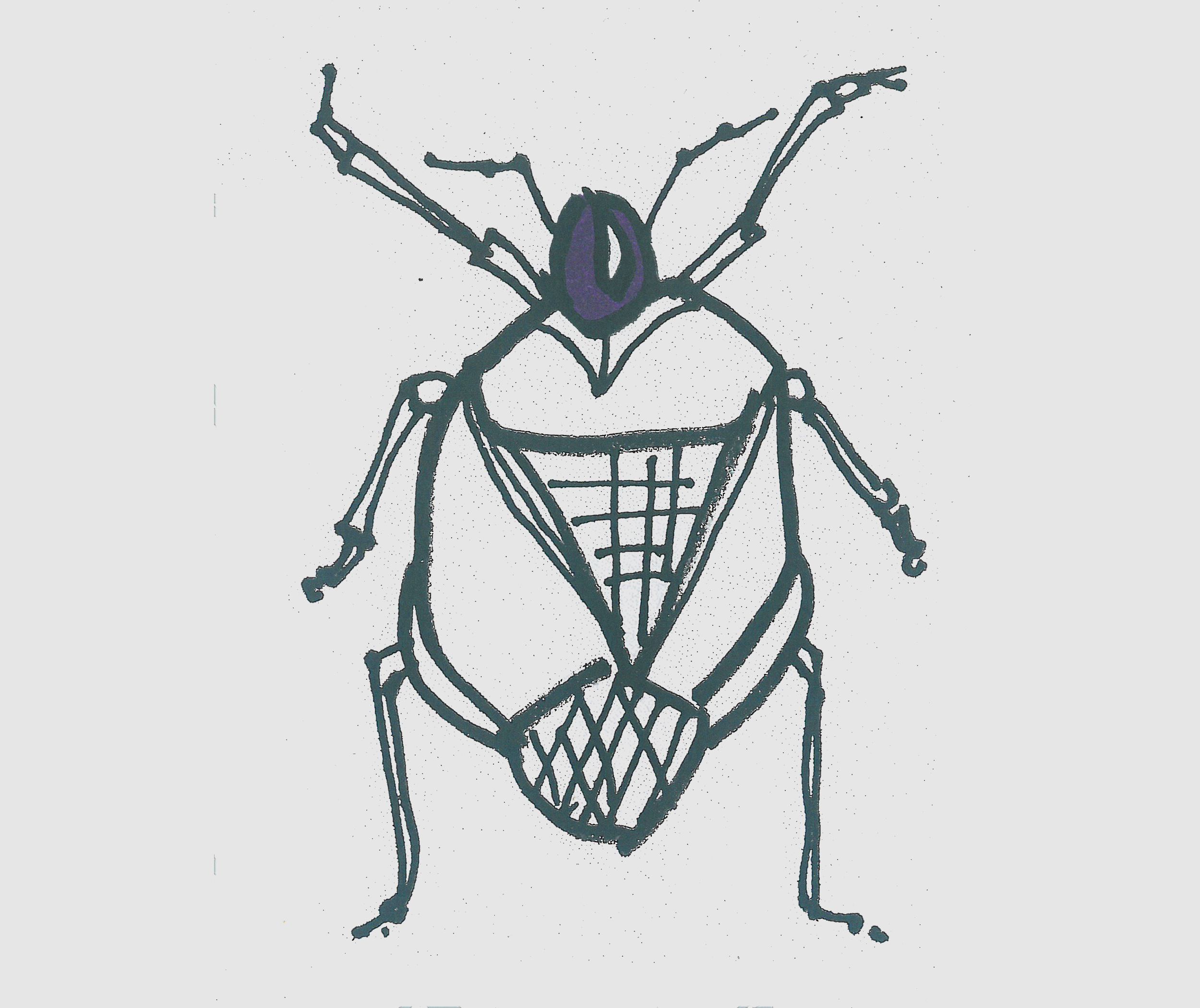 儿童简笔画甲虫怎么画 可爱甲虫的画法