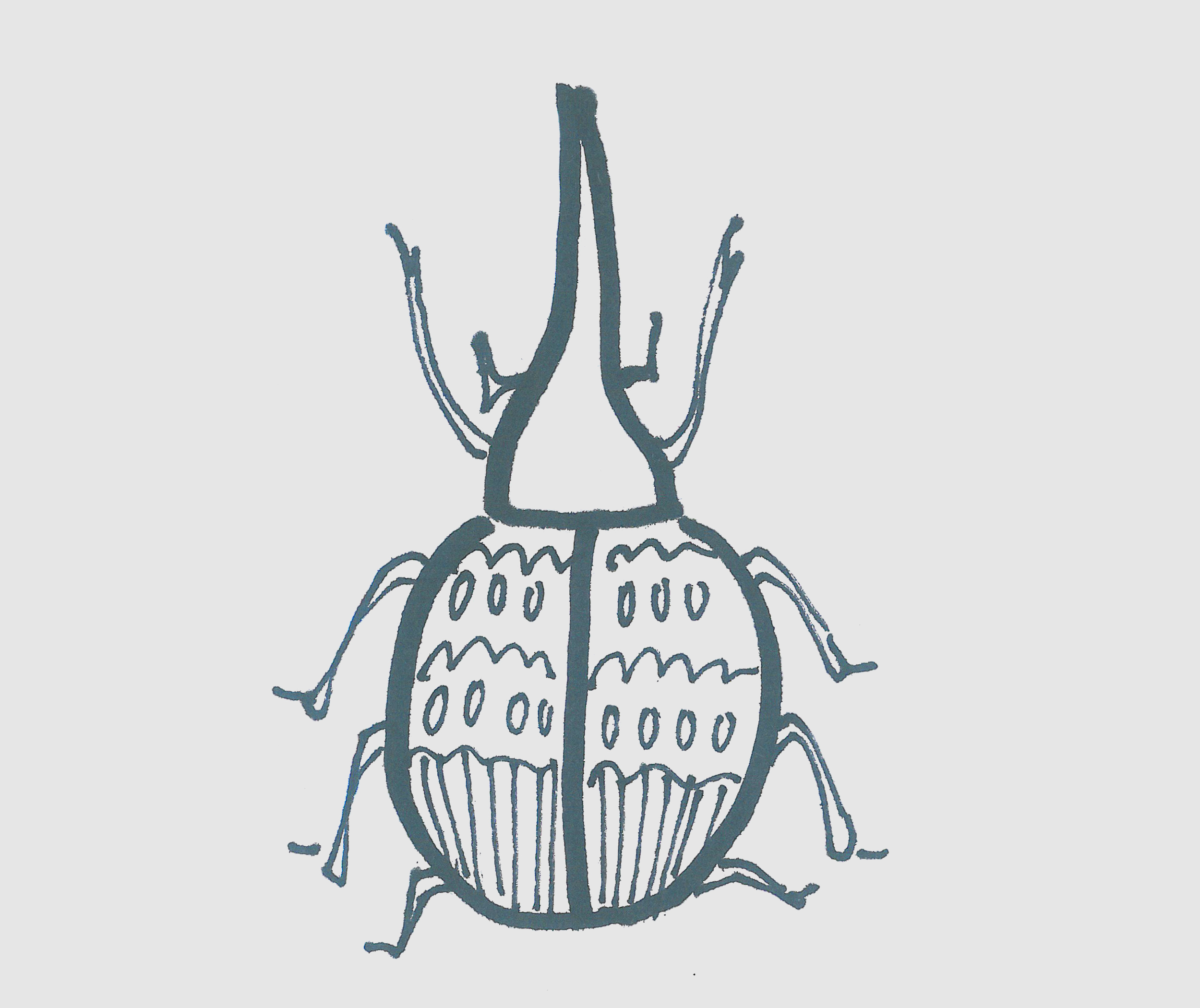 简笔画甲壳虫怎么画好看 可爱甲壳虫画法