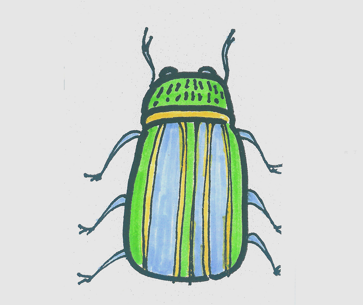 简笔画色彩甲虫怎么画最简单 一步一步教可爱小甲虫的画法💛巧艺网