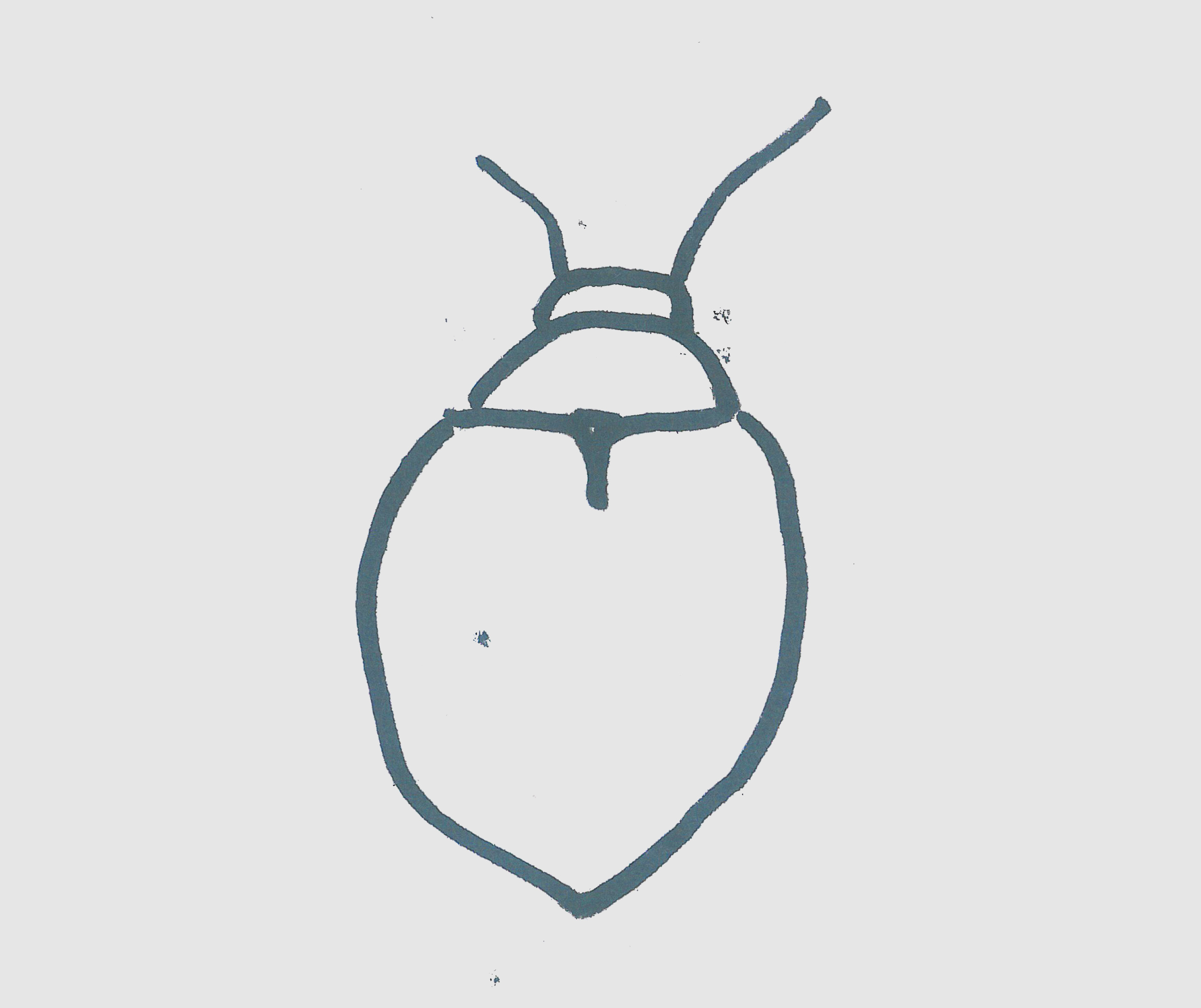 简笔画图片瓢虫怎么画简单又好看 可爱瓢虫画法