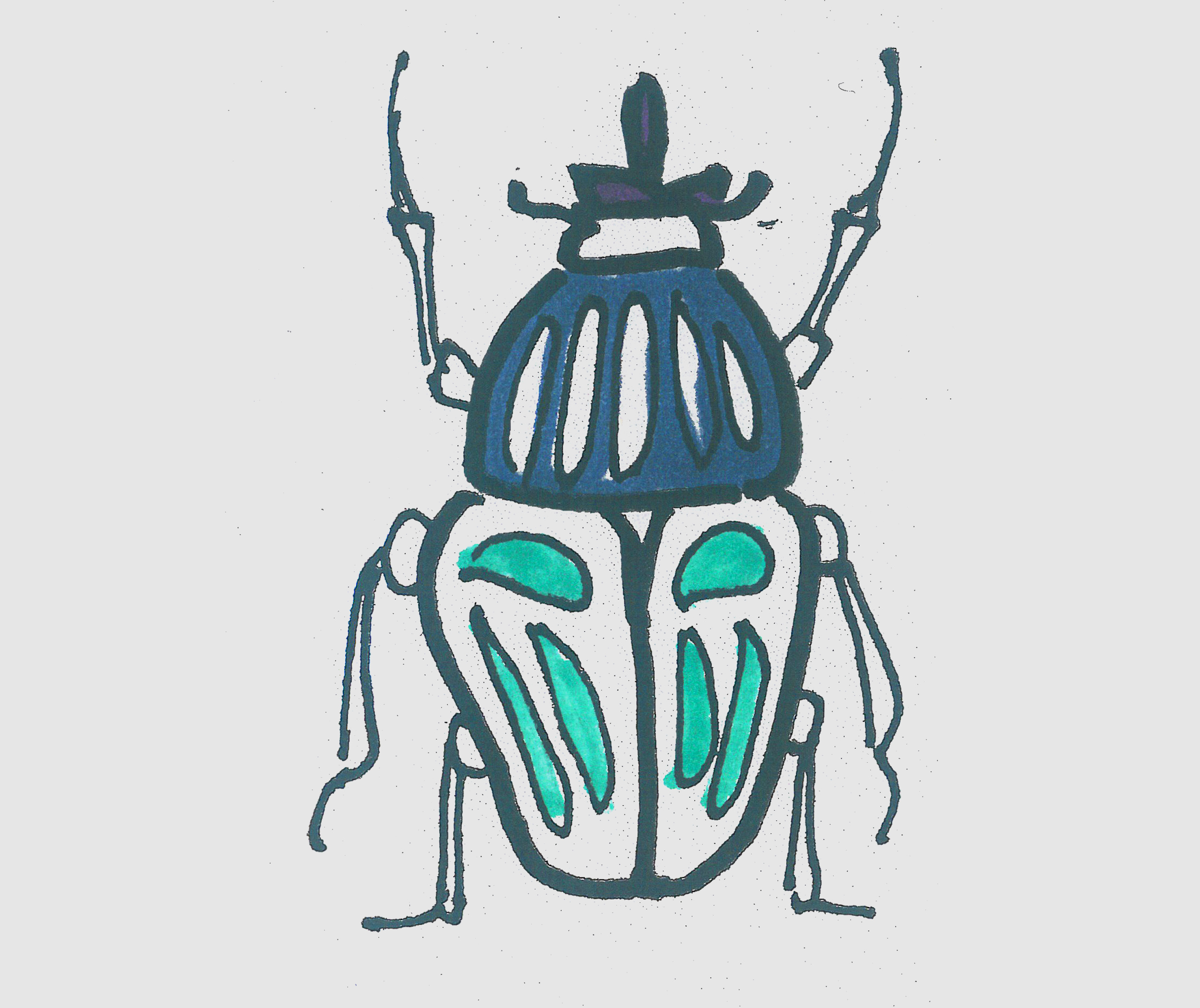 简笔画甲壳虫怎么画简单又好看 小甲壳虫画法