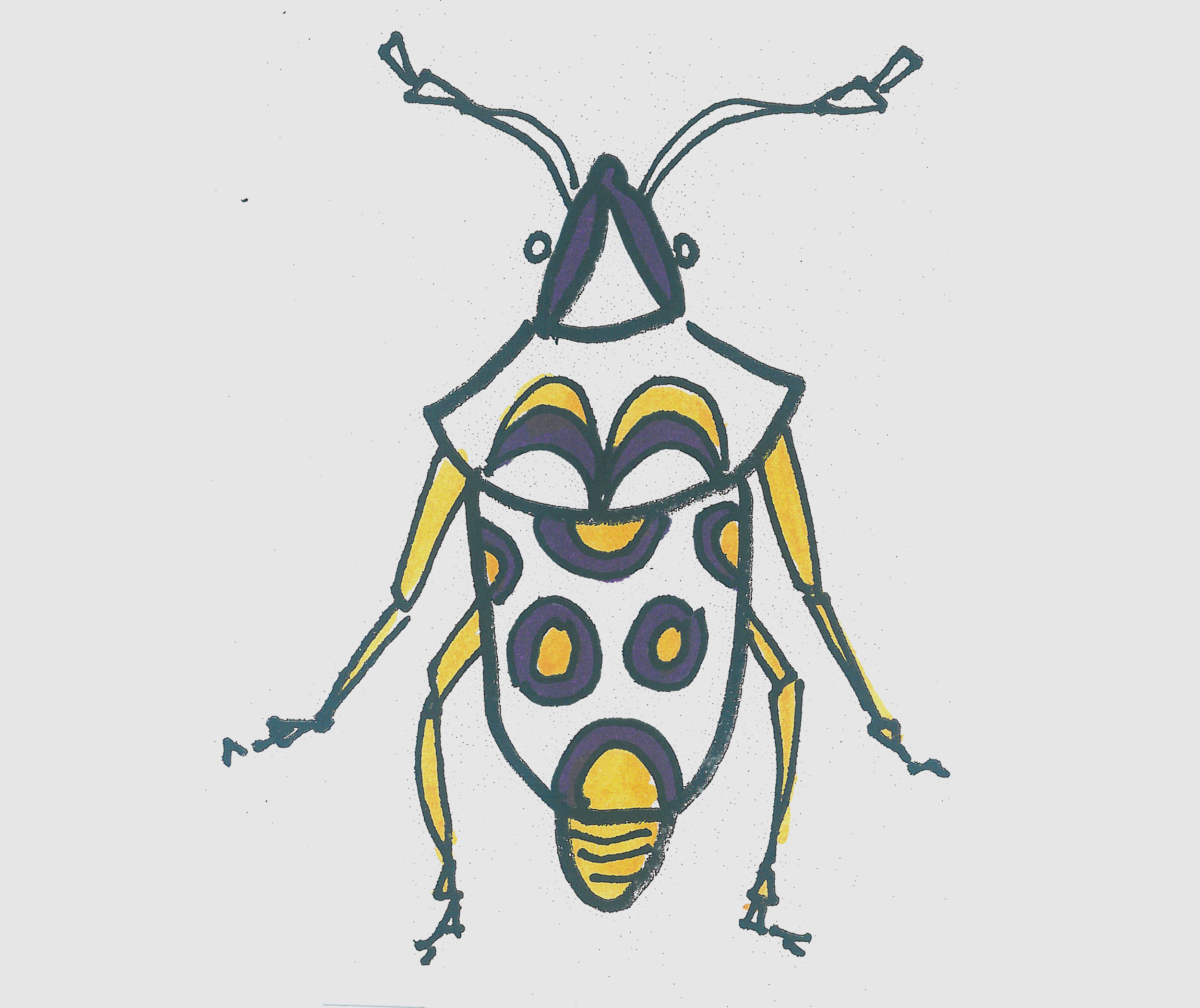 儿童简笔画甲虫怎么画好看 一步一步教可爱甲虫画法