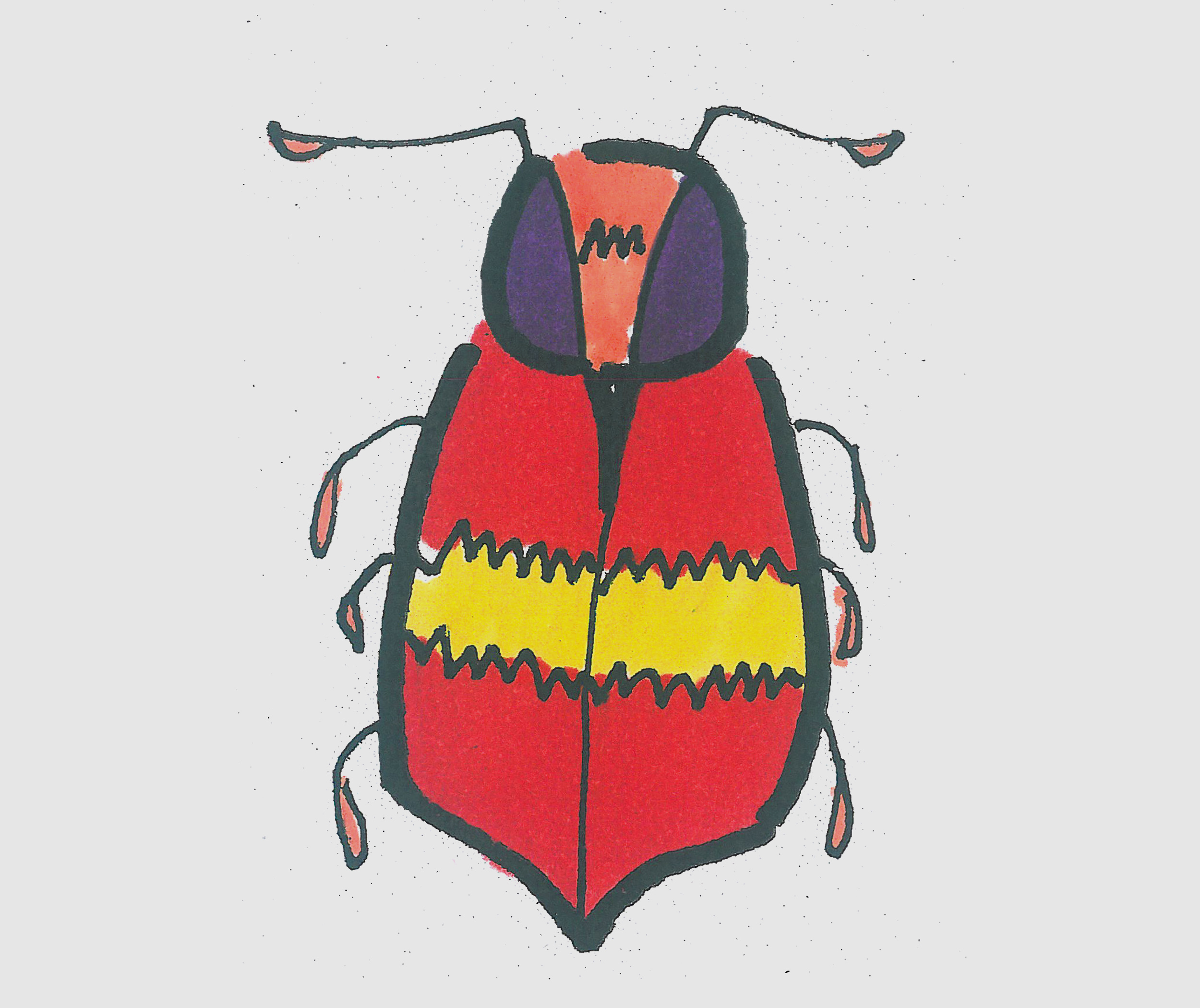 儿童简笔画带颜色甲虫 一步一步教可爱小甲虫画法