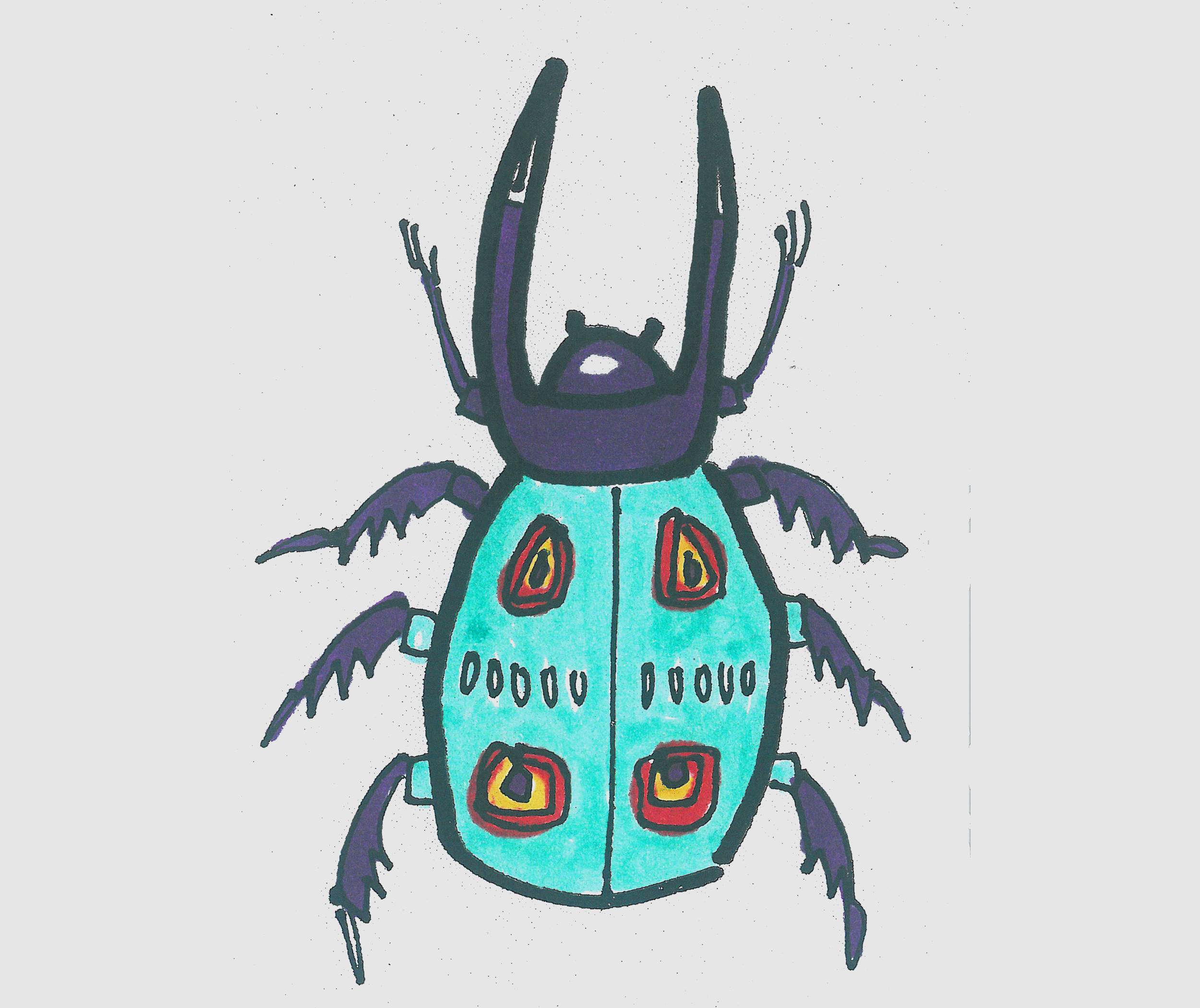 简笔画图片小甲壳虫画法图解教程