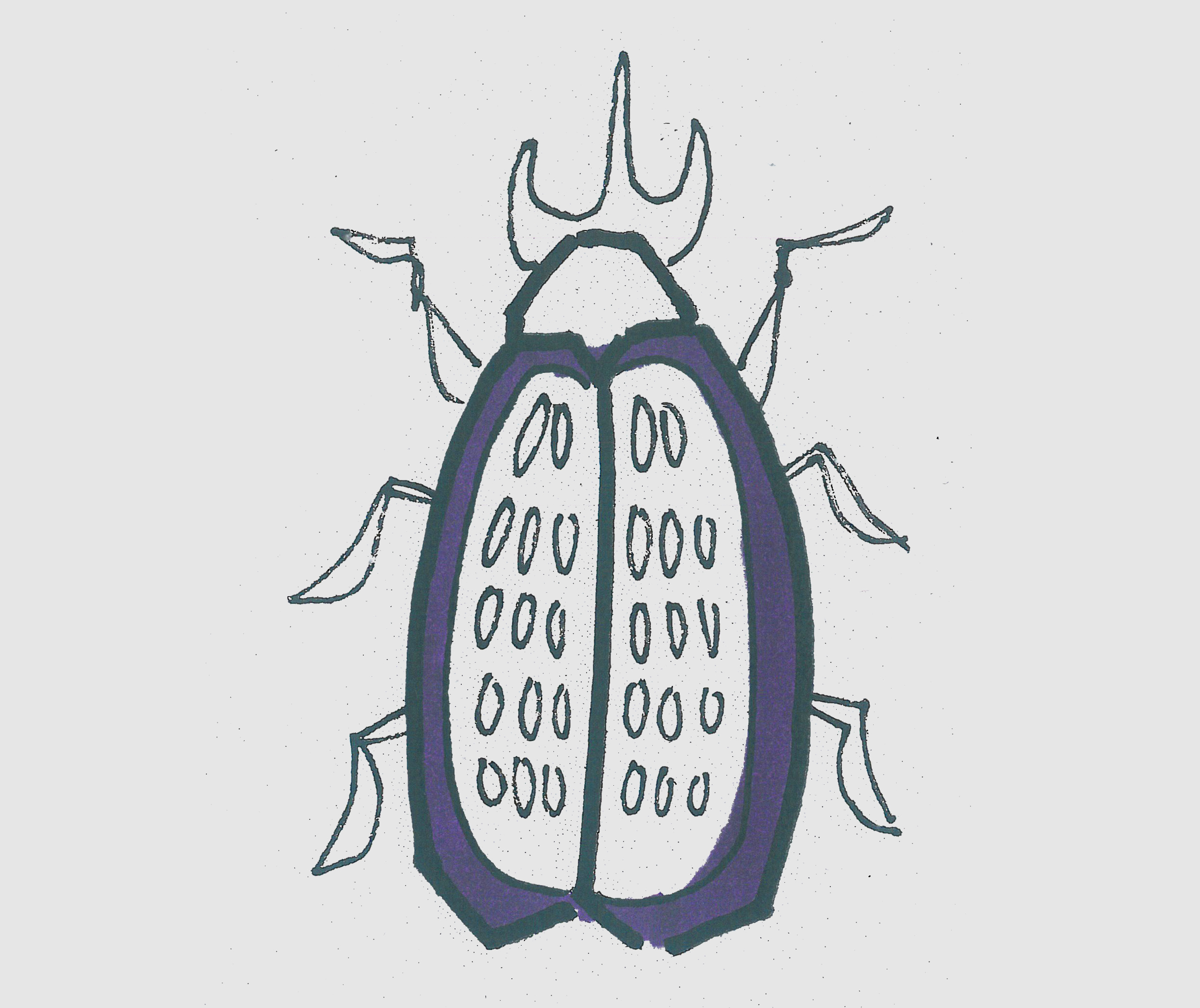 简笔画图片甲壳虫怎么画最简单 一步一步教可爱甲壳虫画法