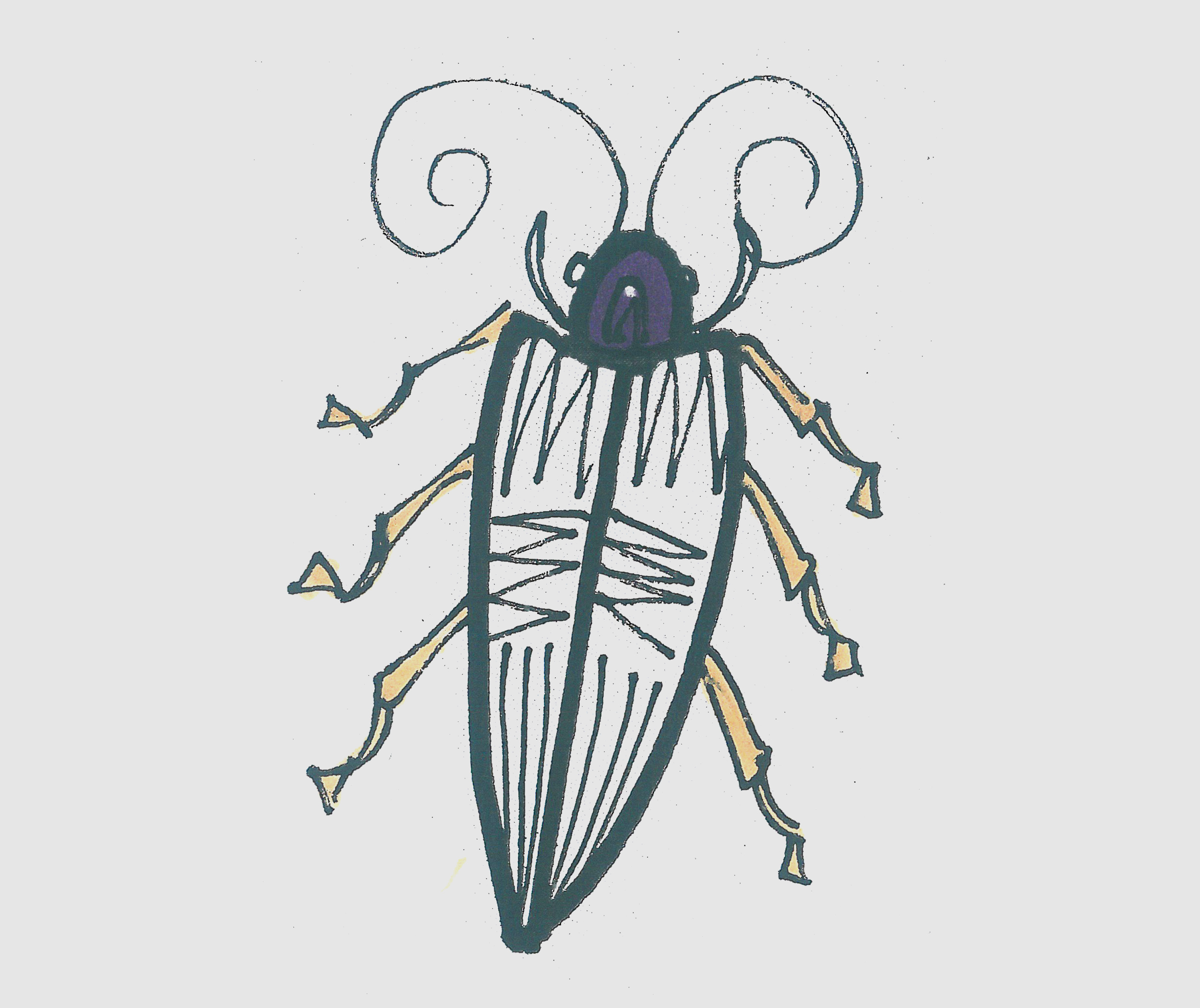 儿童简笔画色彩甲虫怎么画最简单 可爱甲虫的画法