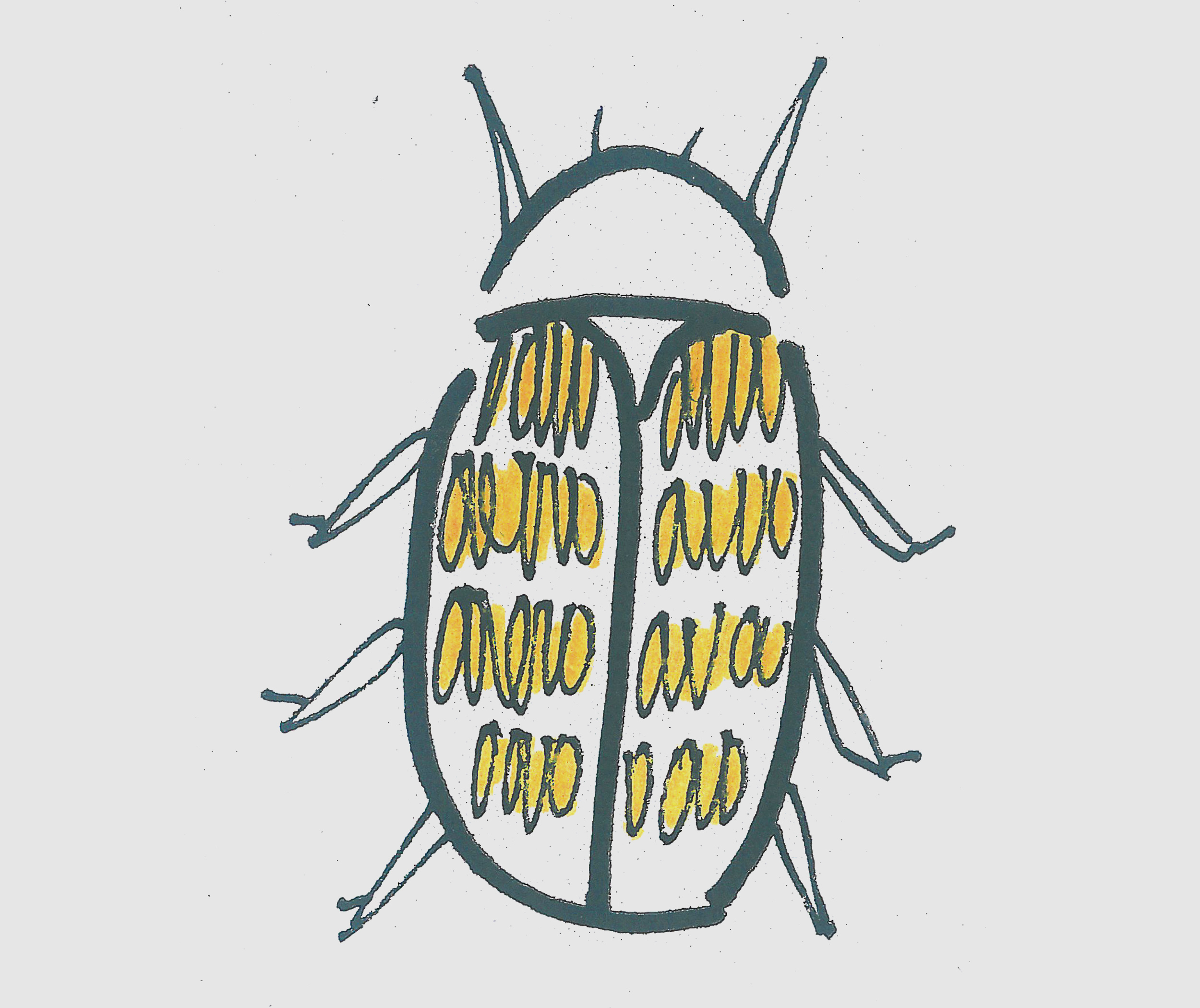 简笔画瓢虫 可爱小瓢虫的画法