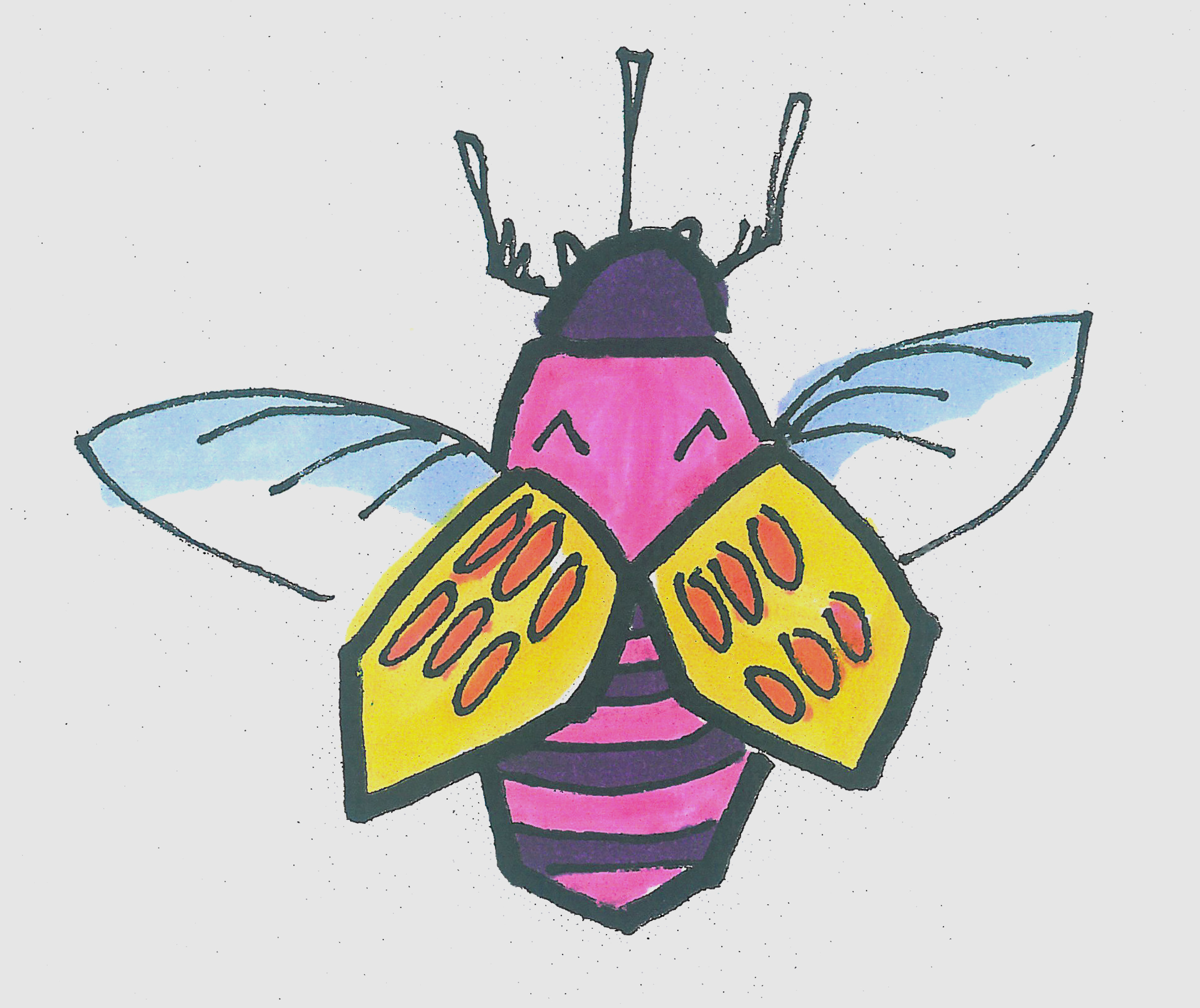 简笔画图片有颜色甲虫 可爱小甲虫的画法