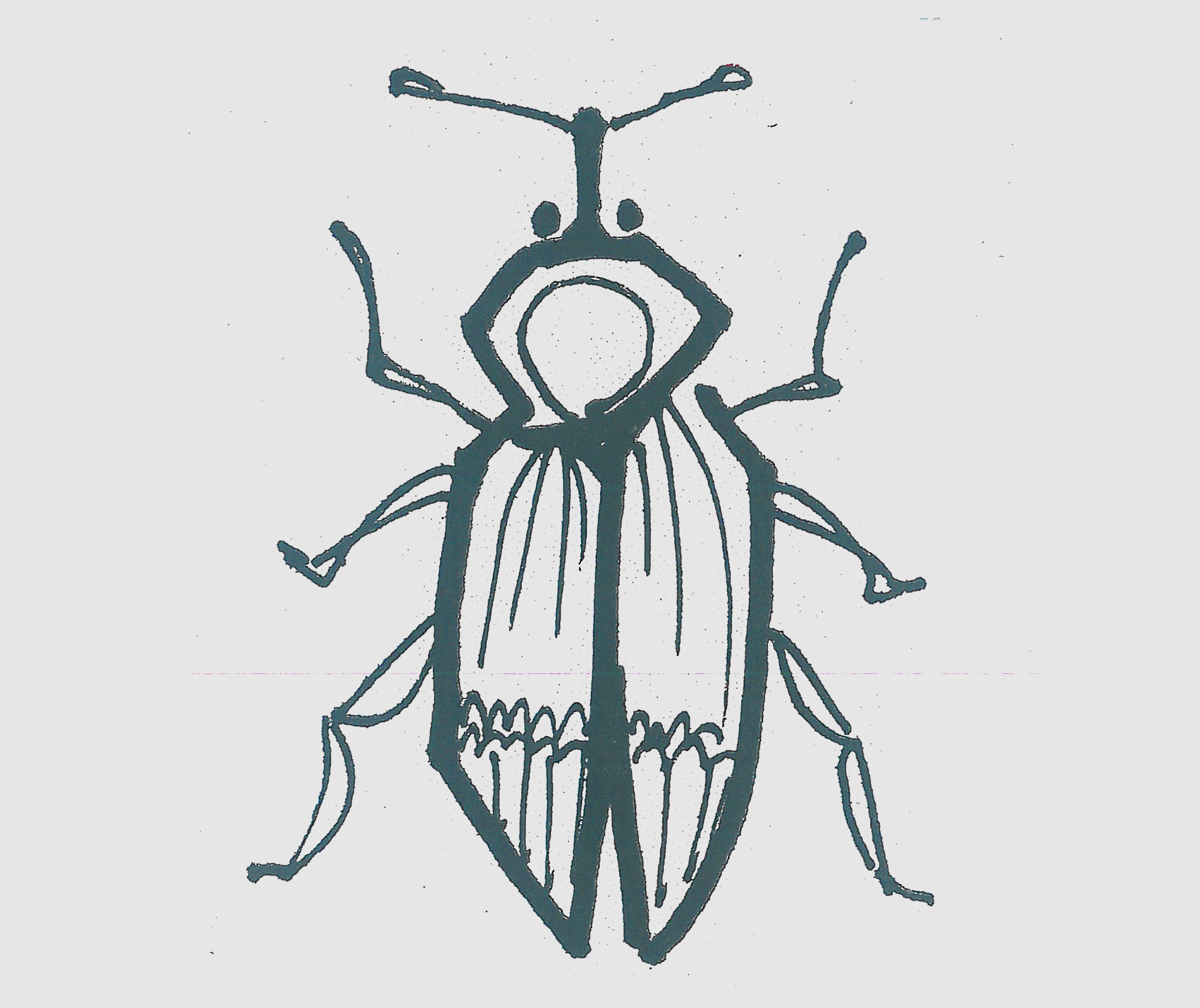 儿童简笔画图片甲虫怎么画简单又好看 可爱甲虫的画法