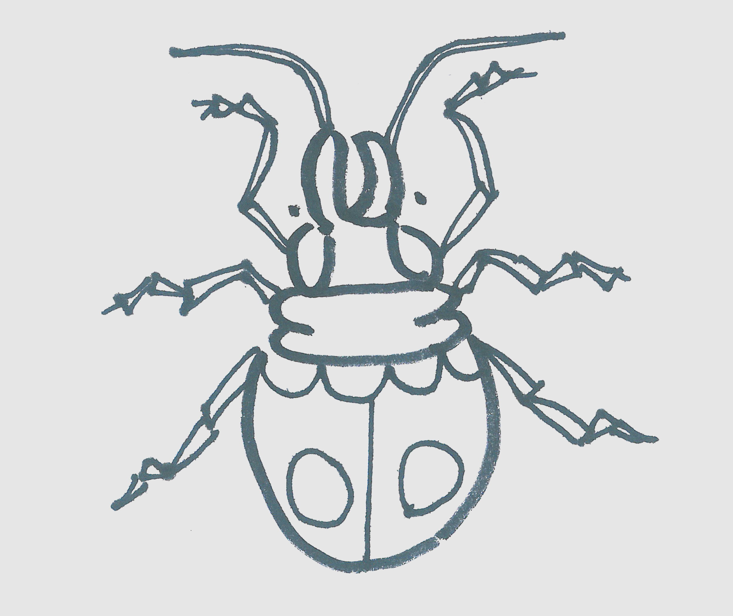 简笔画图片甲虫怎么画最简单 一步一步教甲虫画法