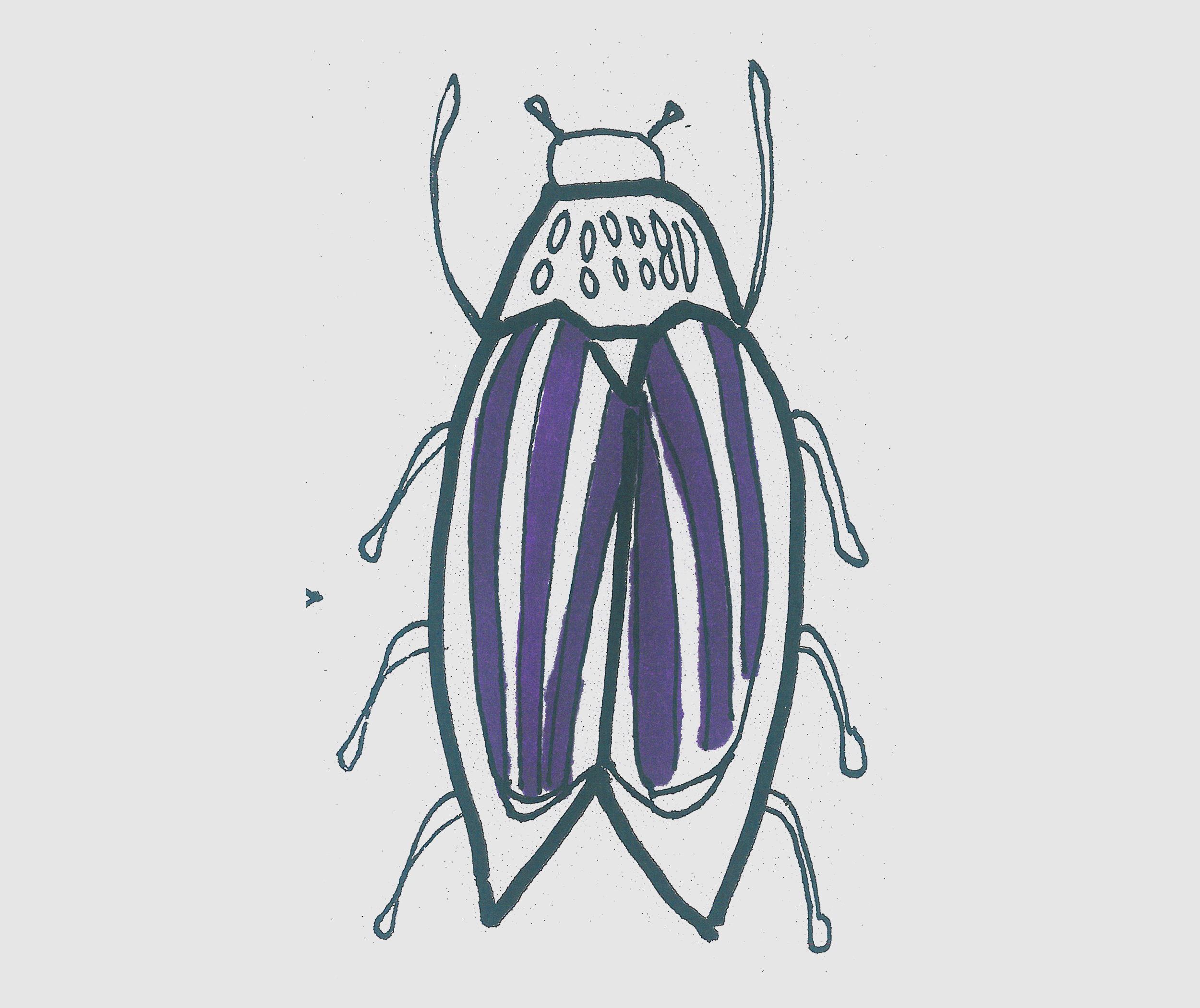 简笔画可爱甲虫的画法步骤图解