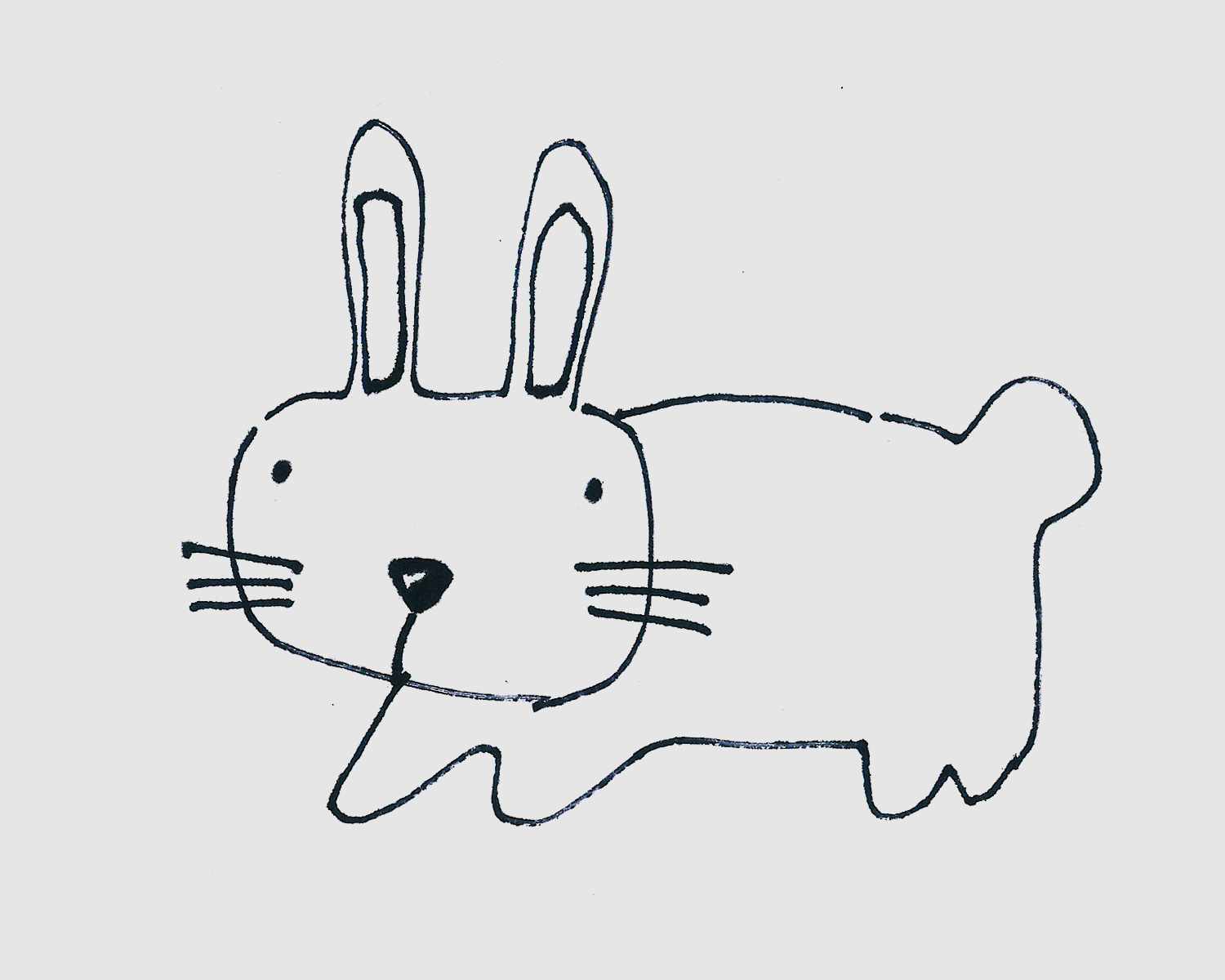 4-6岁简笔画优秀作品 色彩兔子怎么画简单又好看