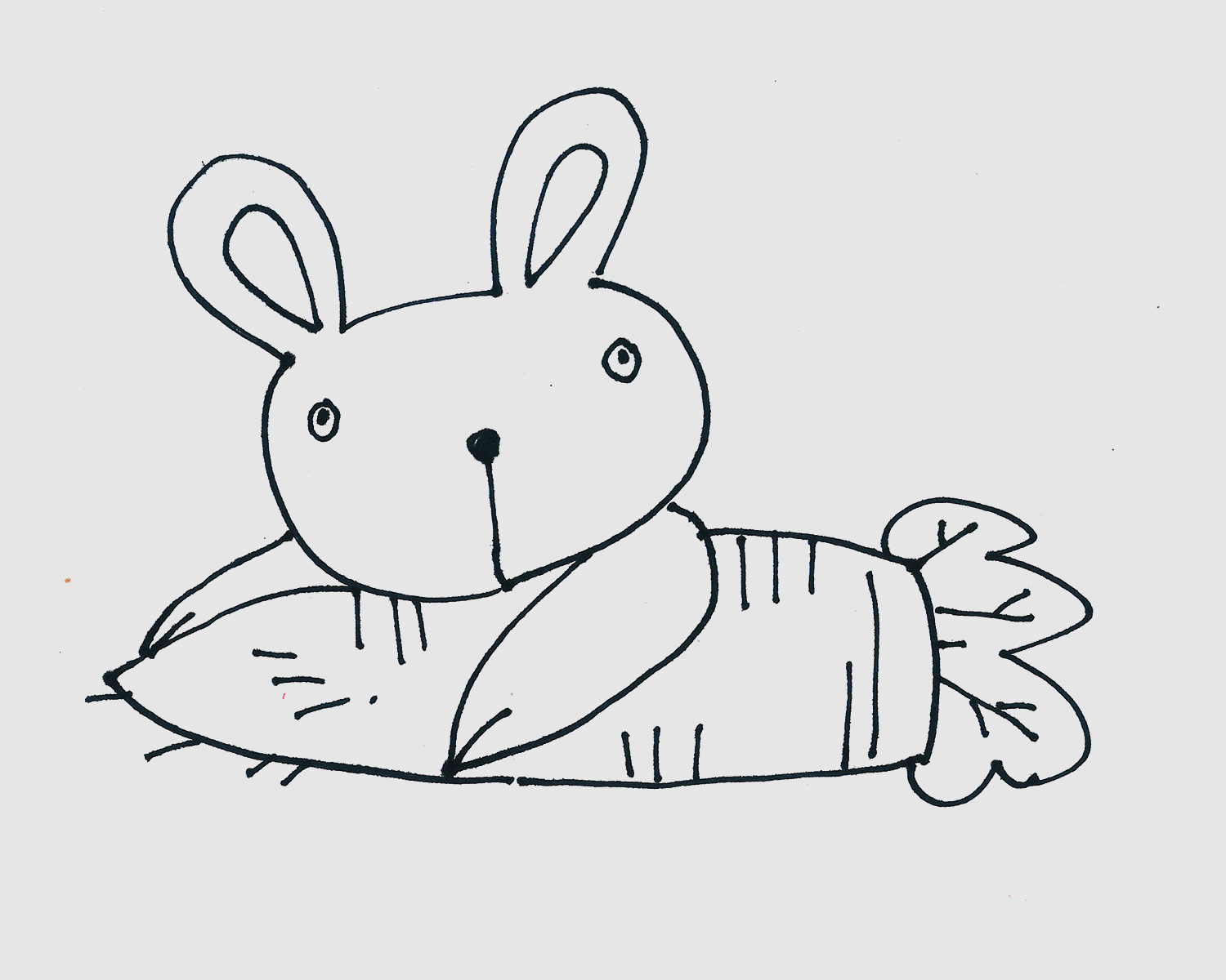 七八岁儿童简笔画优秀作品 带颜色小小白兔怎么画