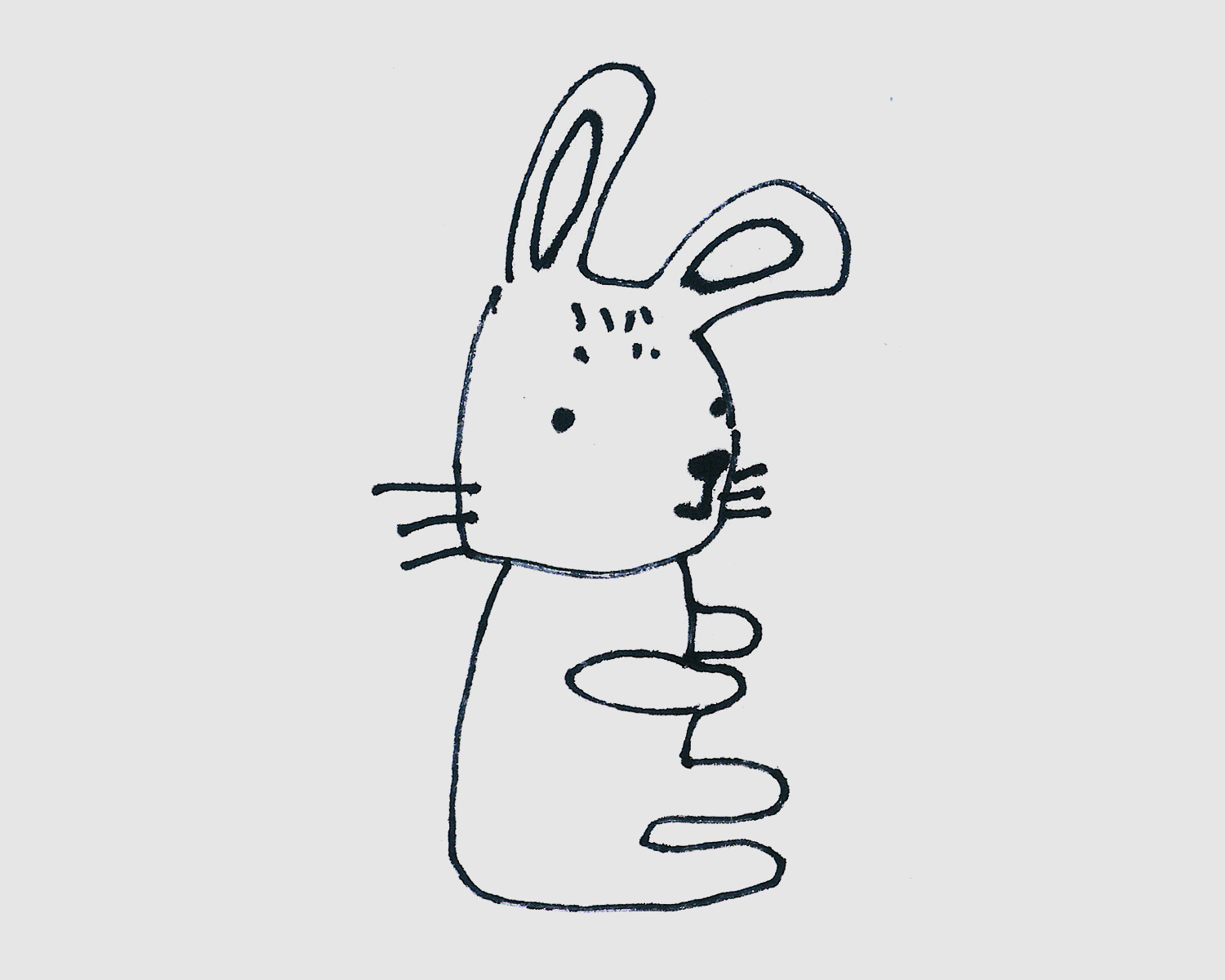 8岁简笔画教程 带颜色小白兔的画法图解
