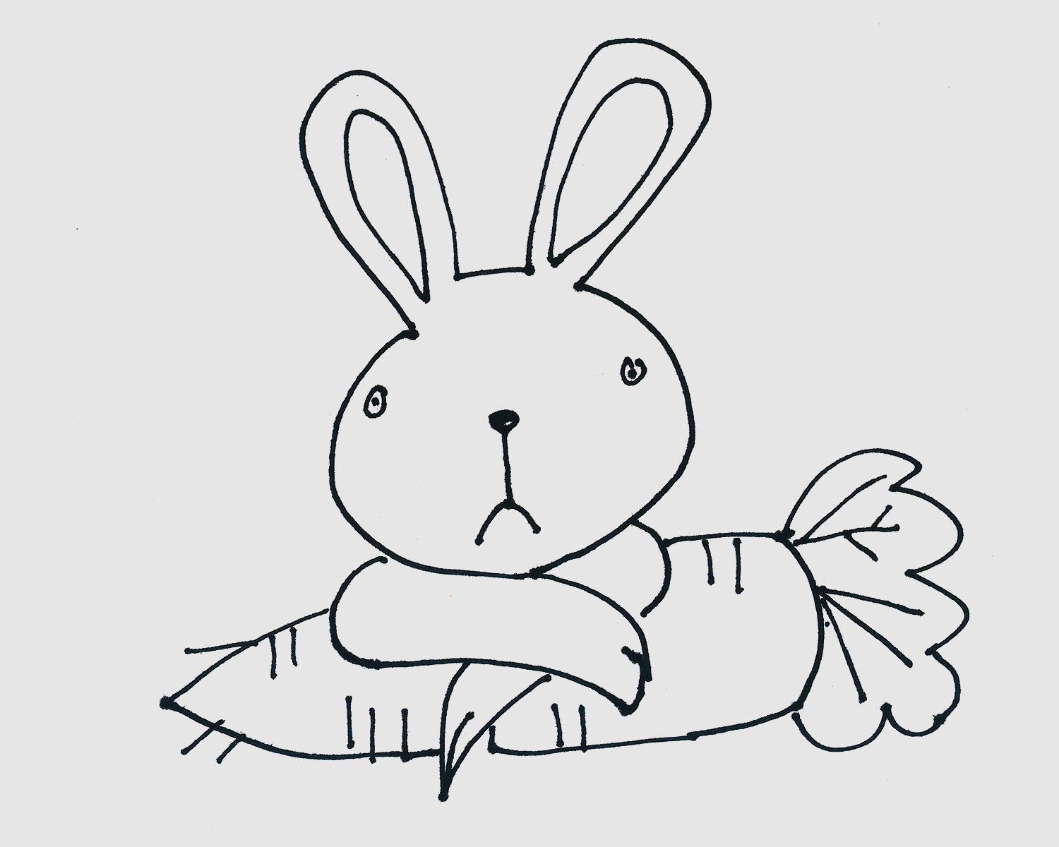 爱吃胡萝卜的小兔子简笔画教程
