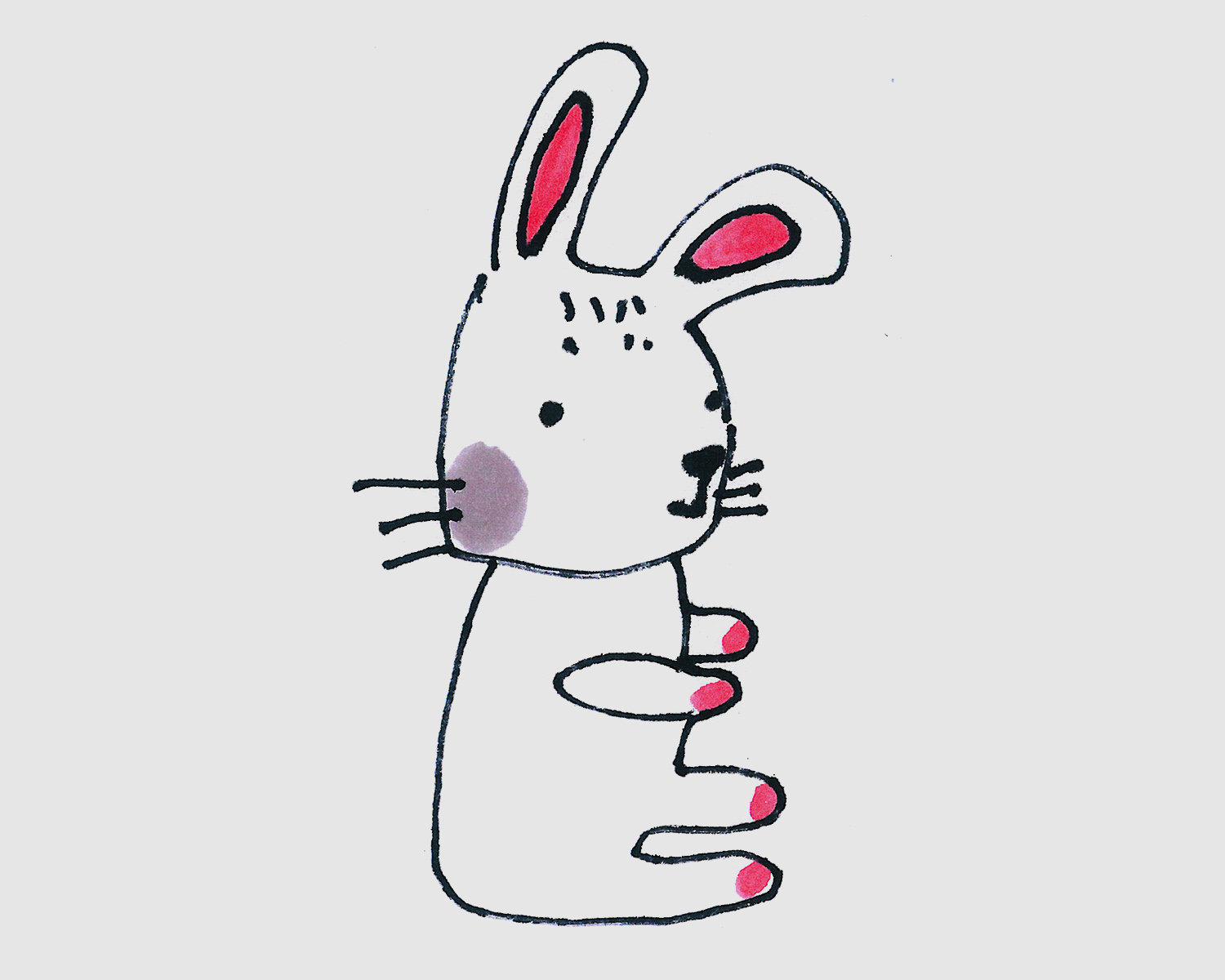 8岁简笔画教程 带颜色小白兔的画法图解