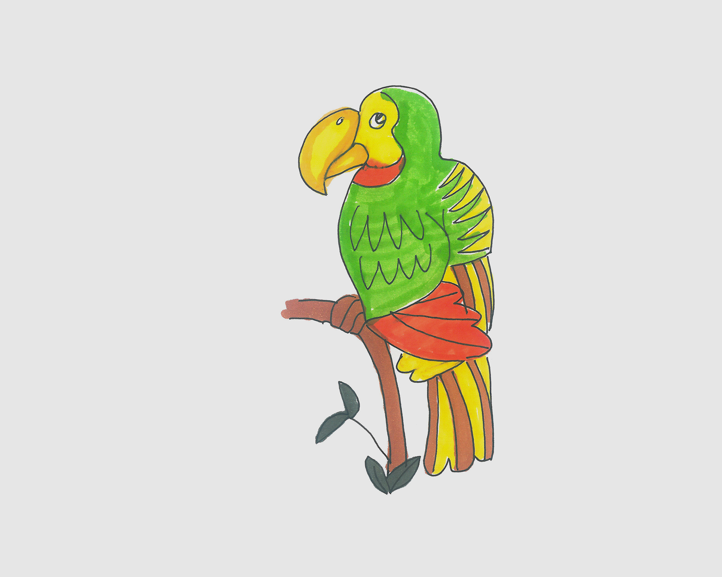 彩铅鹦鹉|纯艺术|绘画|妈妈拉美术学院 - 原创作品 - 站酷 (ZCOOL)